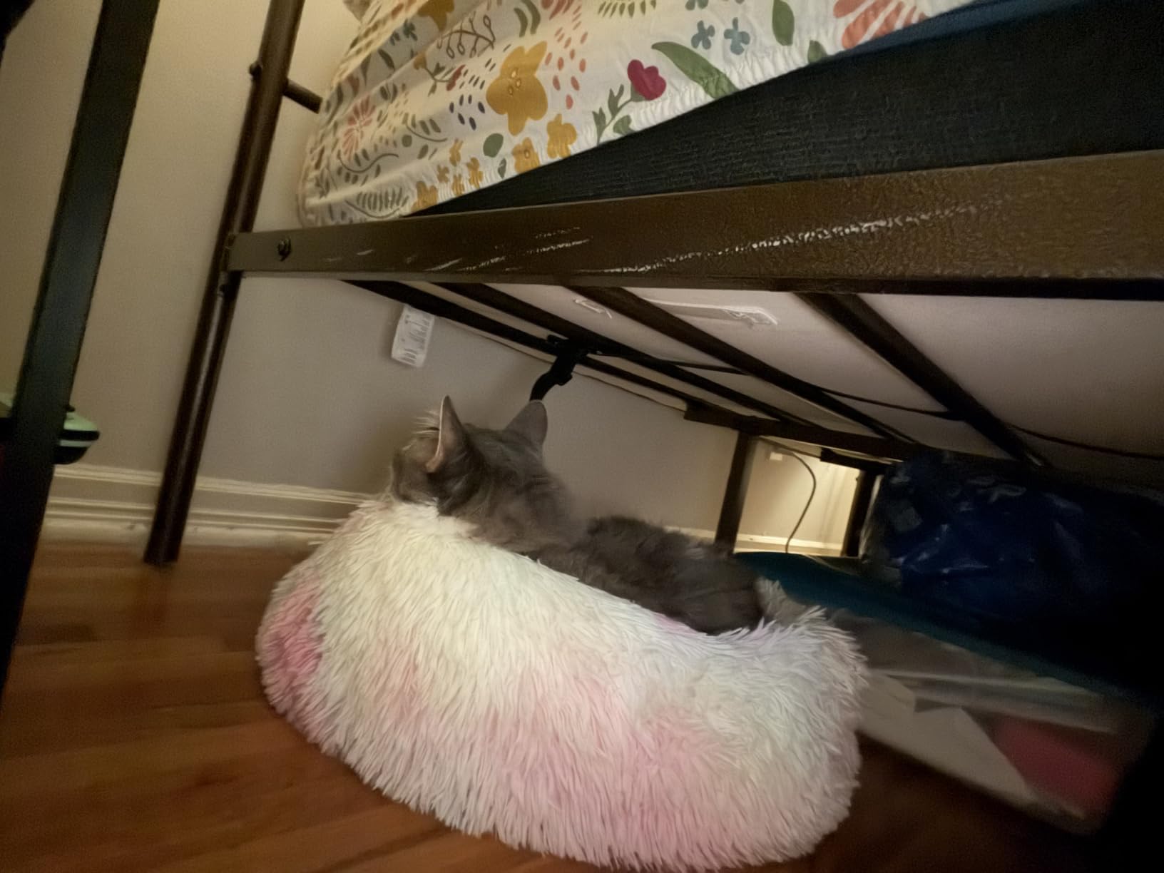 JOLLYVOGUE Calming Dog Bed Medium Size Dog, 31in Donut Washable Medium Pet Bed, Anti-Slip & Anti-Anxiety Fluffy Faux Fur Round Dogs Bed, Fits up to 45 lbs Pets (Smoke Grey) customer photo 2