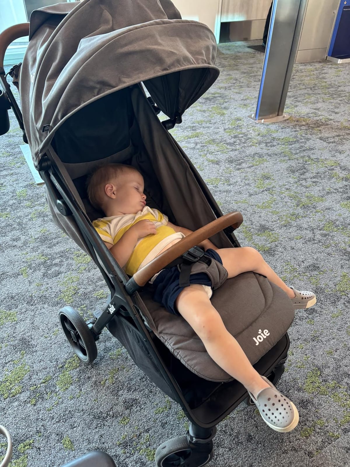 Joie Baby Nutmeg Compact Lightweight Travel Stroller, One-Hand Fold, Multi-Position Recline, Smooth Ride Suspension, Travel System Compatible, UPF 50+ Canopy, For Newborn to Toddler customer photo 2
