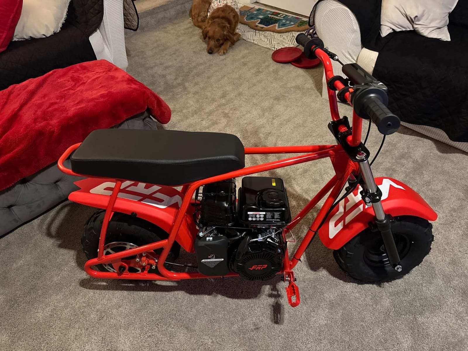 FRP MB40 Gas Mini Bike for Teens 40cc 4-Stroke Off Road 18 MPH 165 LBS | Straight-Gas Fueling With No Oil Mixing, Disc Brake, Knobby Tires, Engine Heat Guard, Easy Pull-Start, Red customer photo 2