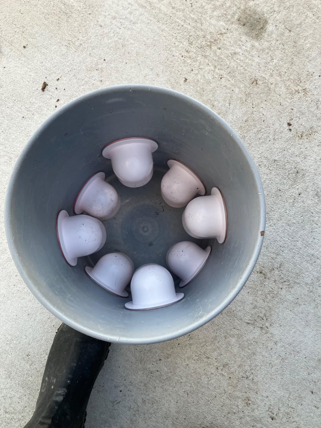 Chicken Feeders No Waste, DIY Automatic Poultry Feeder - 8 Ports Red | Buckets Barrels Bins Troughs‑mountable Design for common Breeds of Chicken Flock with Hole Saw customer photo 1