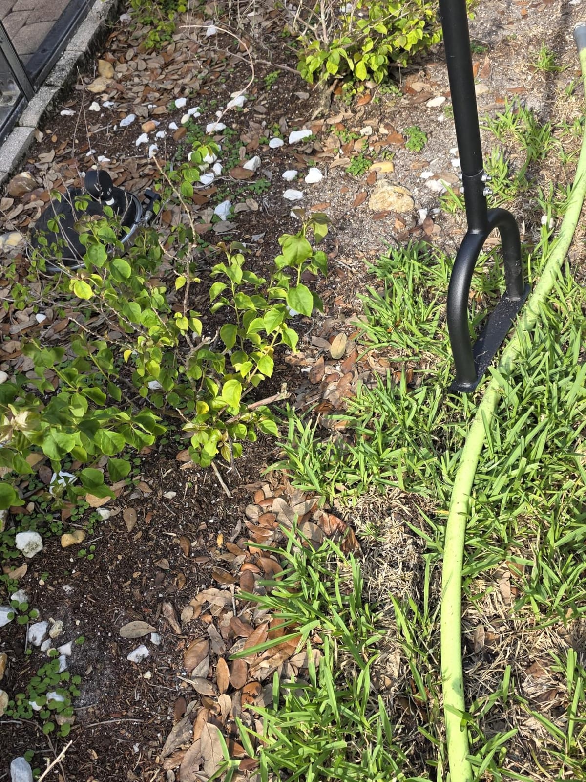 Edger Lawn Tool 41in Border Edger with Tempered Spring Steel Blade | Long Rubber Handle Wide Footplate Rustproof Manganese Steel Half Moon Edger for Garden Maintenance customer photo 2