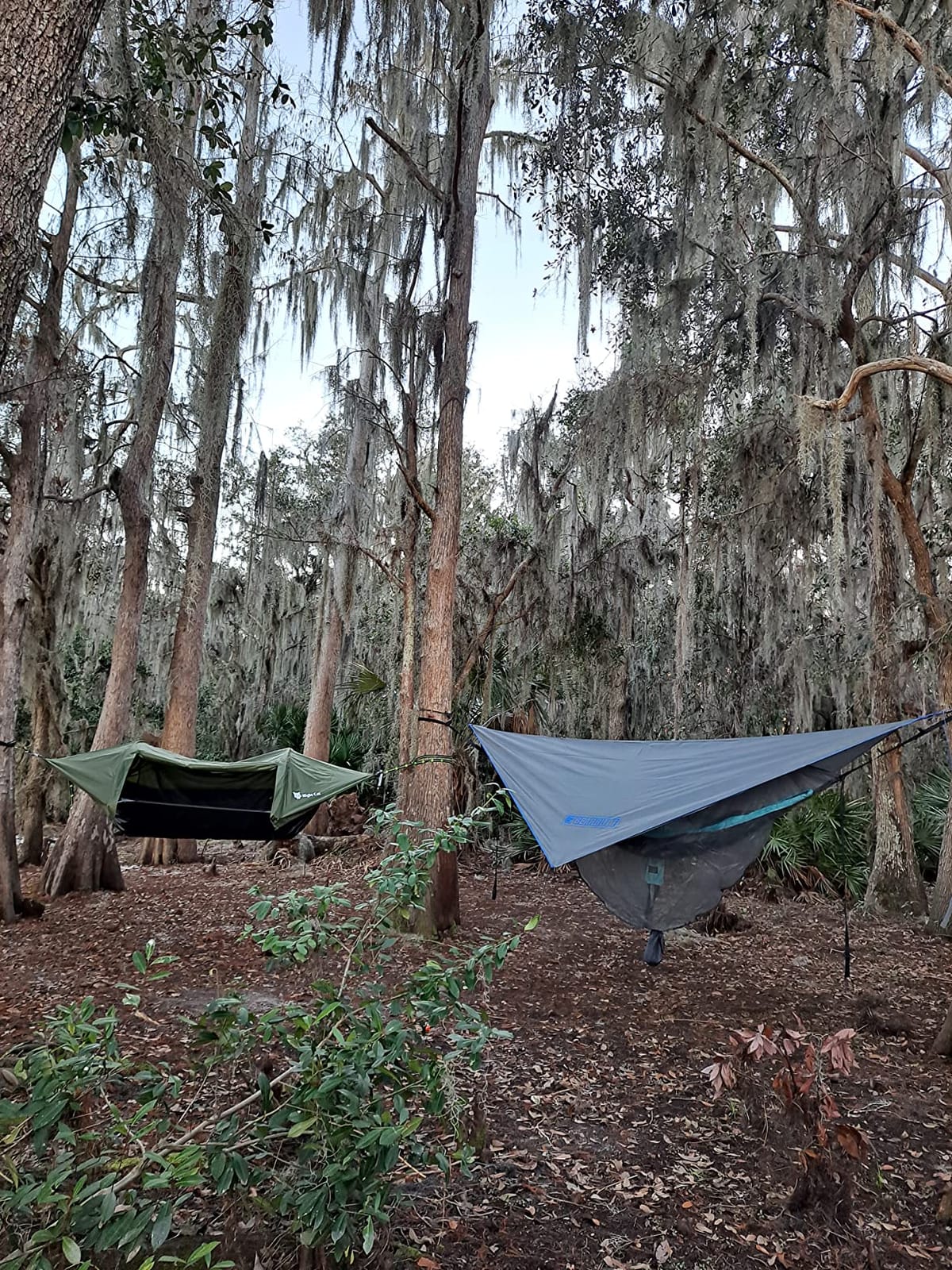 Night Cat Camping Hammock Tent: Lightweight Portable 4 in 1 Hammock with Rain Tarp and Mosquito Net for Hiking Jungle Outdoor customer photo 1