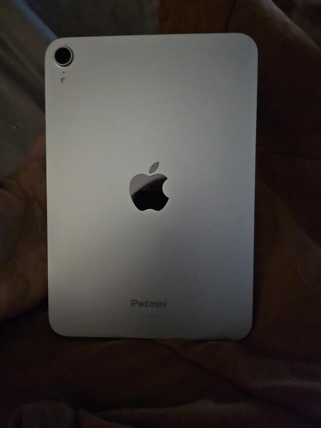 Apple iPad mini (A17 Pro): Apple Intelligence, 8.3-inch Liquid Retina Display, 256GB, Wi-Fi 6E, 12MP Front/12MP Back Camera, Touch ID, All-Day Battery Life - Space Gray customer photo 1