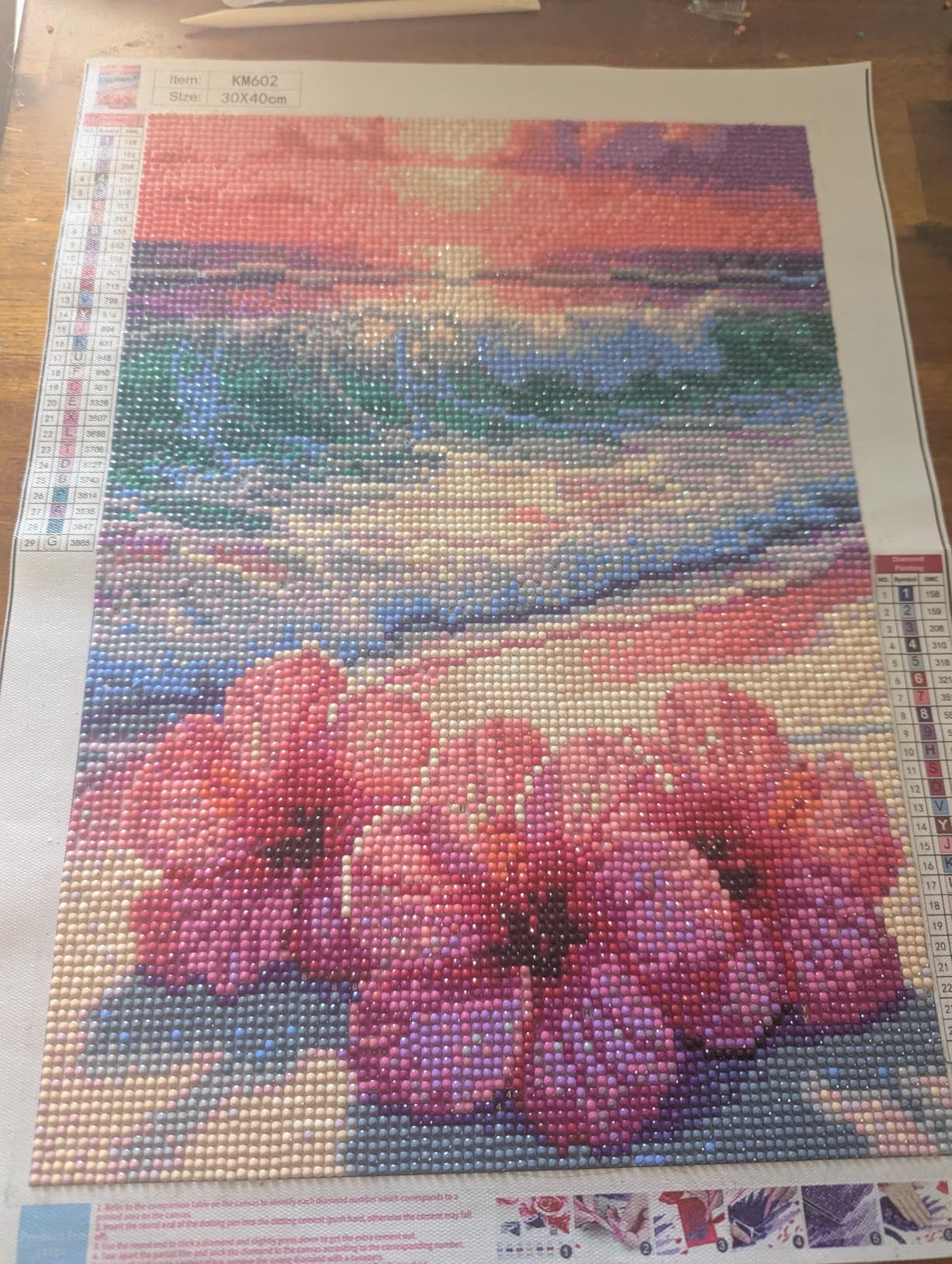 Diamond Art Painting Kits for Adults, Sea of Flowers 5D Diamond Painting | Flowers DIY Full Round Gem Crystal Art paint by Diamond Dots, Home Wall Decor 12x16 In customer photo 1