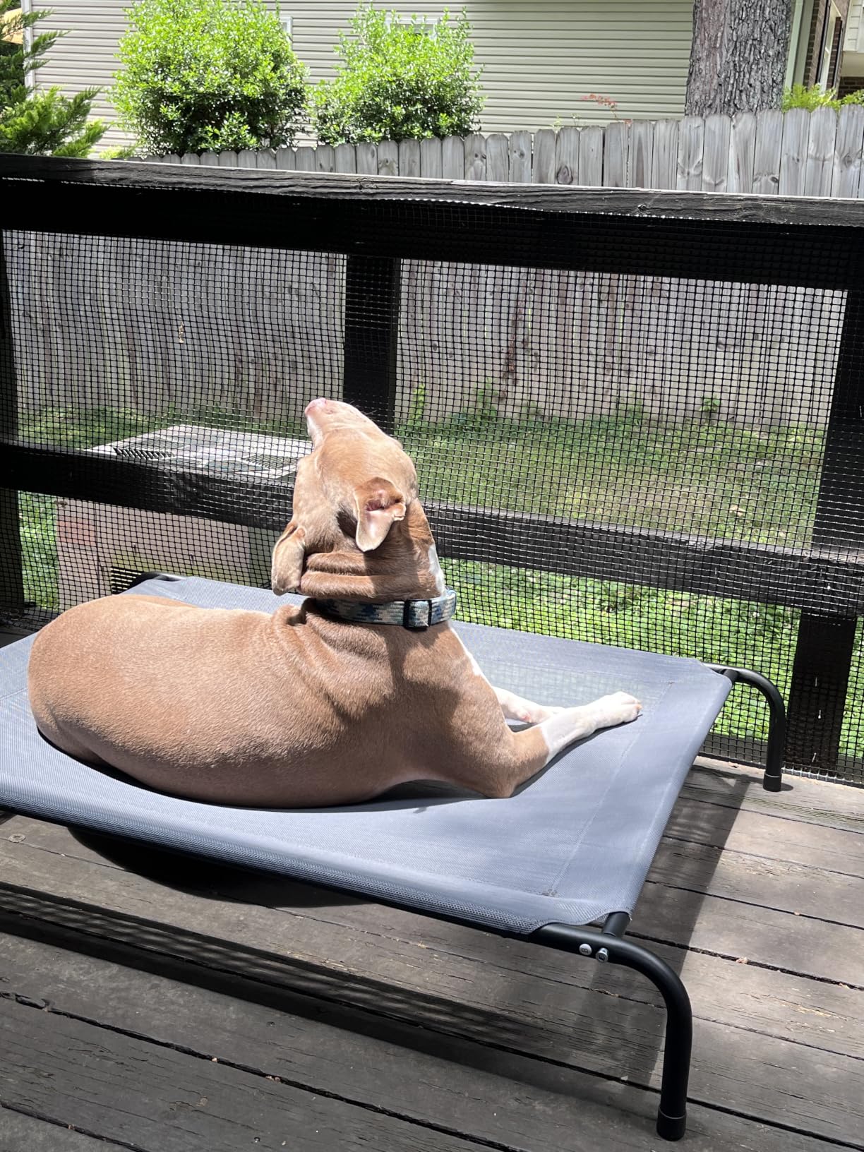 Love's cabin Elevated Cooling Dog Bed for Large Dogs, Portable Indoor & Outdoor Raised Pet Dog Cat Cot, Durable Summer Frame with Breathable Mesh, Grey, 48 inches customer photo 2