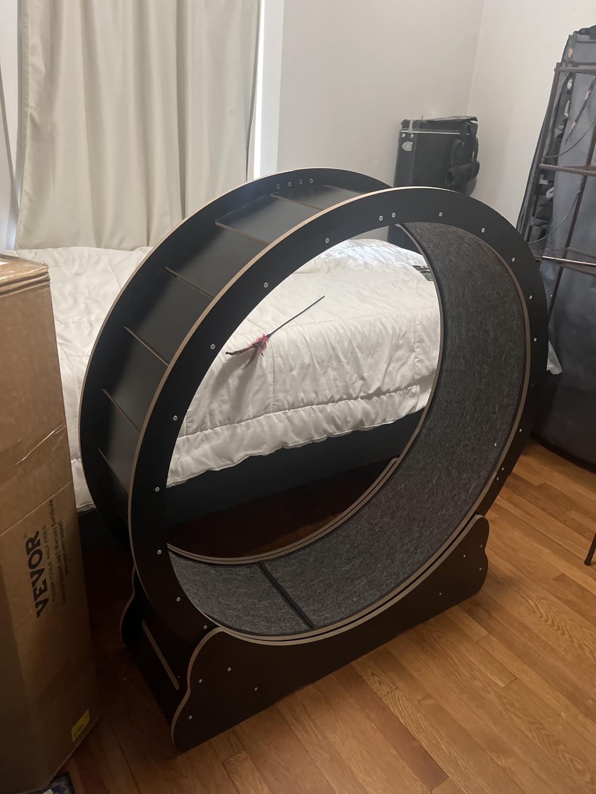 VEVOR Cat Exercise Wheel, 52