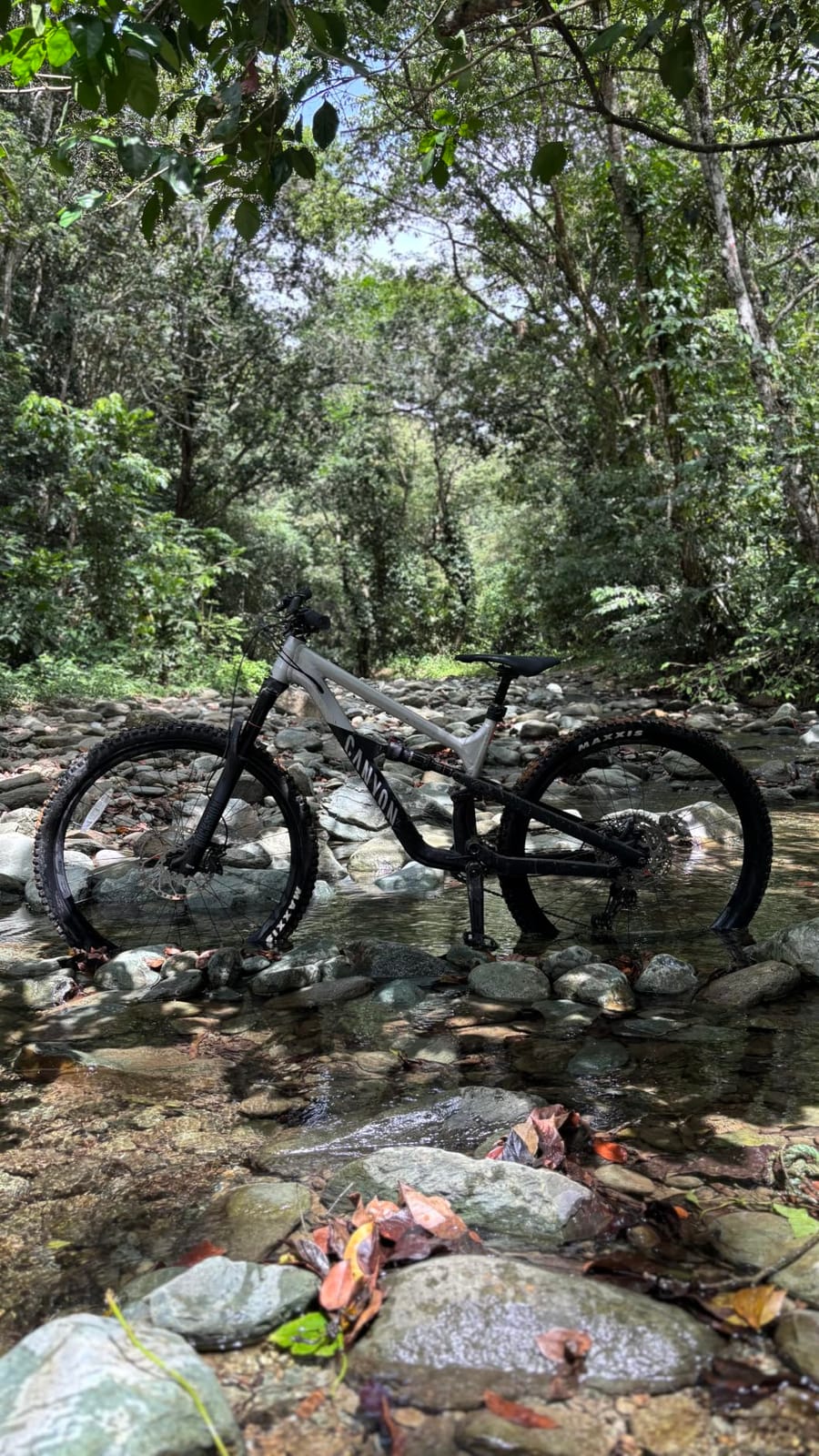Canyon Spectral 125 AL 5 customer photo 1