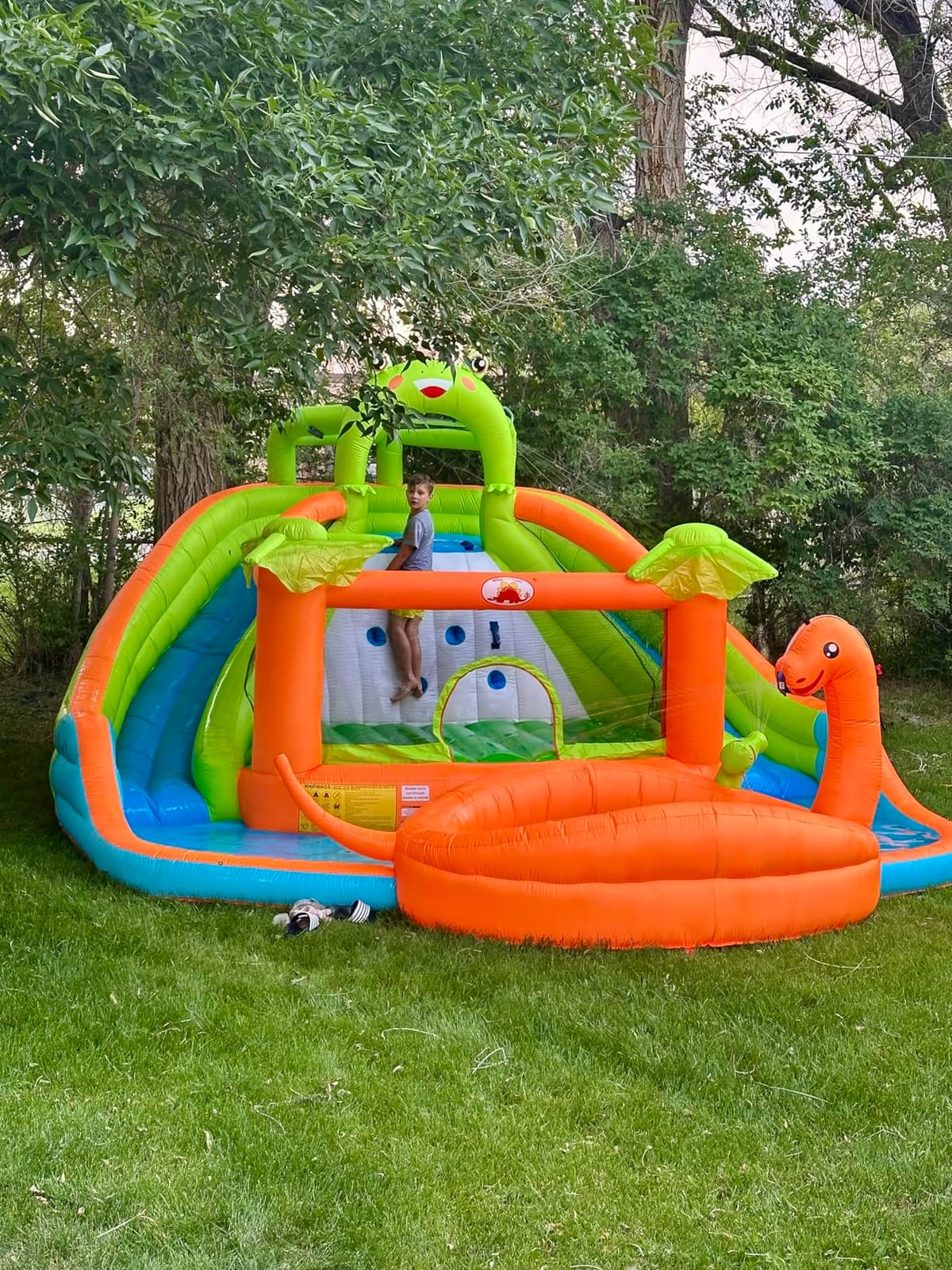 WELLFUNTIME Inflatable Water Double Slides Park with Blower, Bouncy Castle with Water Cannon, Dino Pool, Frog Castle, Climbing Wall, Basketball Hoop, Backyard Water Park for Kids customer photo 1