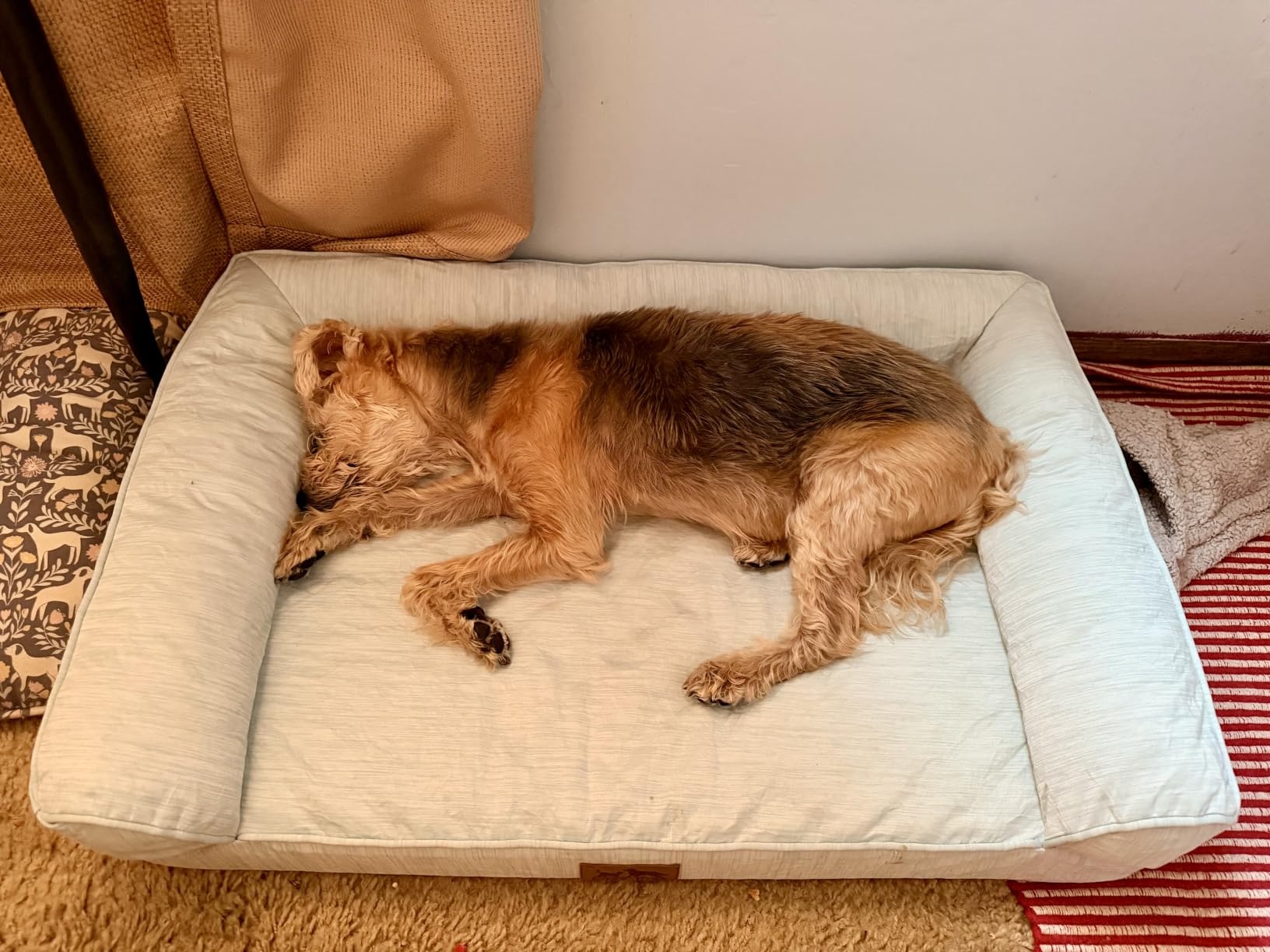 COZY KISS Cooling Dog Bed for Large Dogs, 42