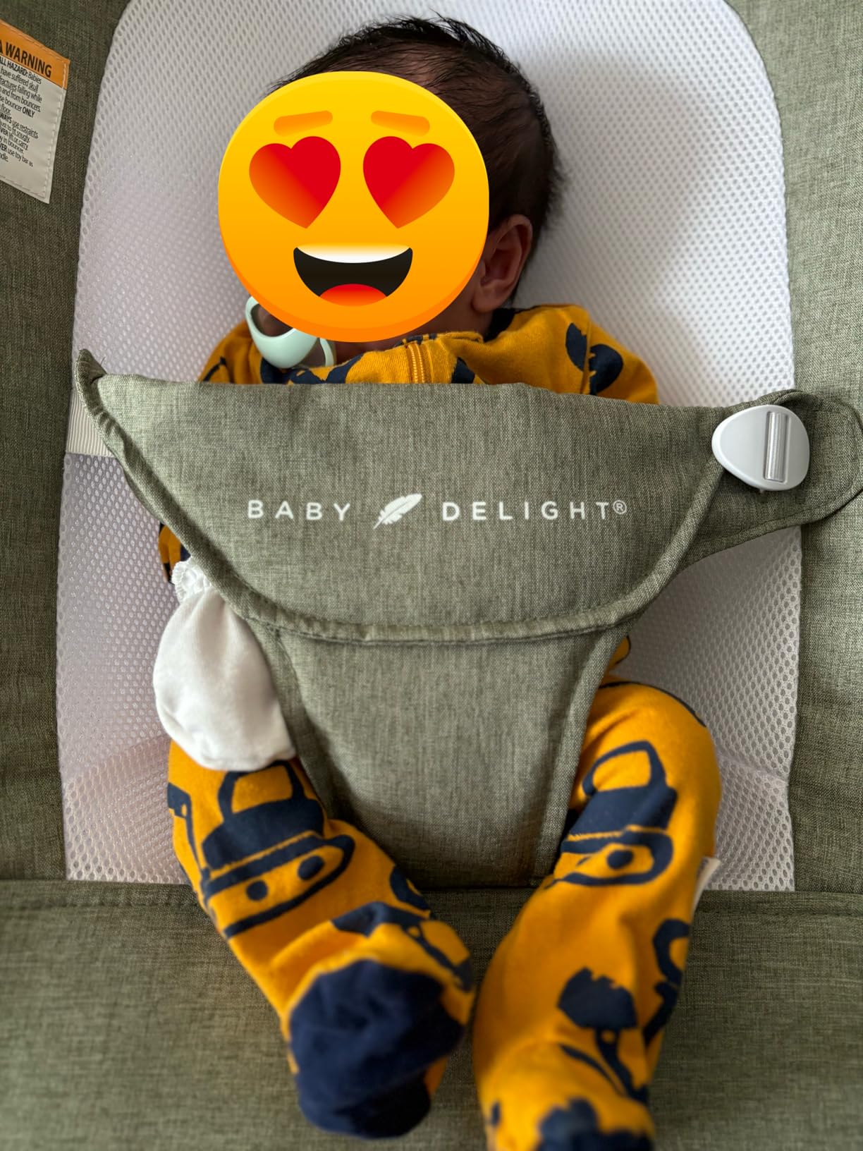 Baby Delight Highland Baby Bouncer, Sage Tweed | For Infants 0 - 6 Months, 3-Position Recline, Adjustable 3-Point Harness, Secure Locking Mechanism, Folds Flat customer photo 1