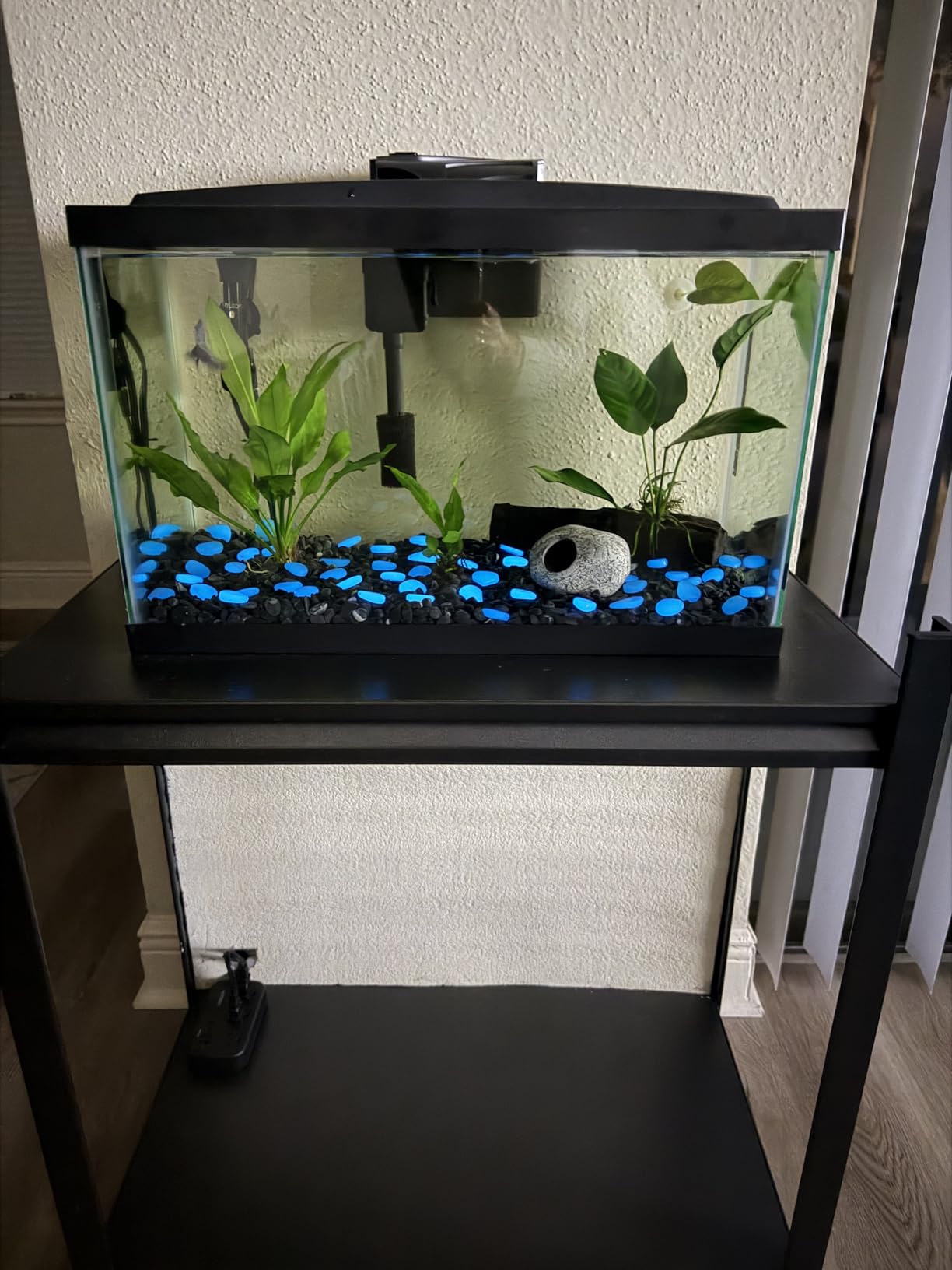 Aqueon Aquarium Starter Kit with Smart Clean Filtration and LED Lighting, Freshwater and Saltwater Fish, Perfect for Tetras, Guppies, Platies, 10-Gallon customer photo 1