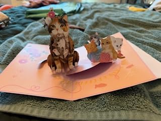 POPWOW Cat Tree Pop Up Card, 5x7 Inch 3D Greeting Card, Funny Cats Design for Cat Lovers, Birthday, Mother's Day or Father's Day, Includes Envelope & Note customer photo 2