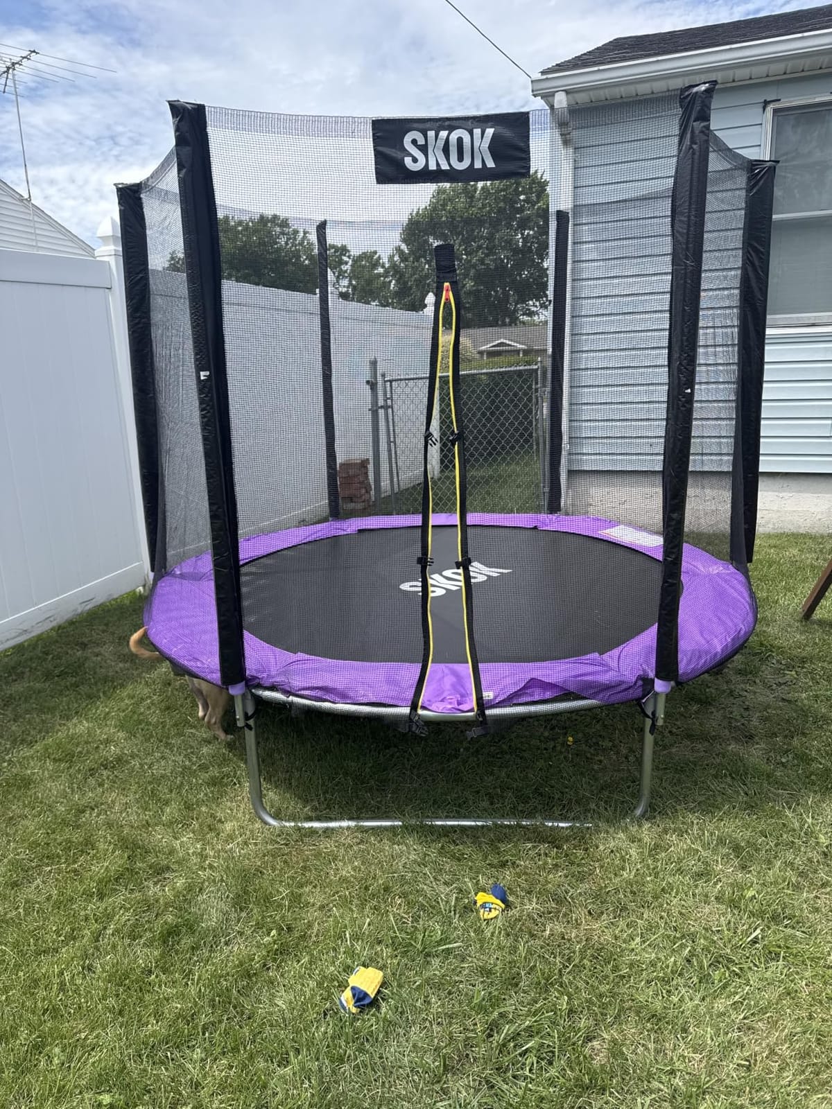 SKOK Trampoline for Kids,400LBS Outdoor Trampoline with Net-ASTM Approved Trampoline for Children and Adults customer photo 1