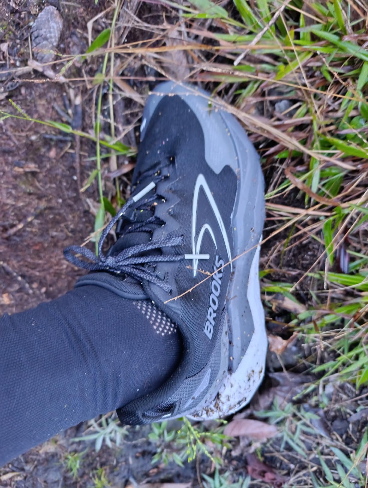 Brooks Men's Caldera 8 Ultra Trail Running Shoe customer photo 1