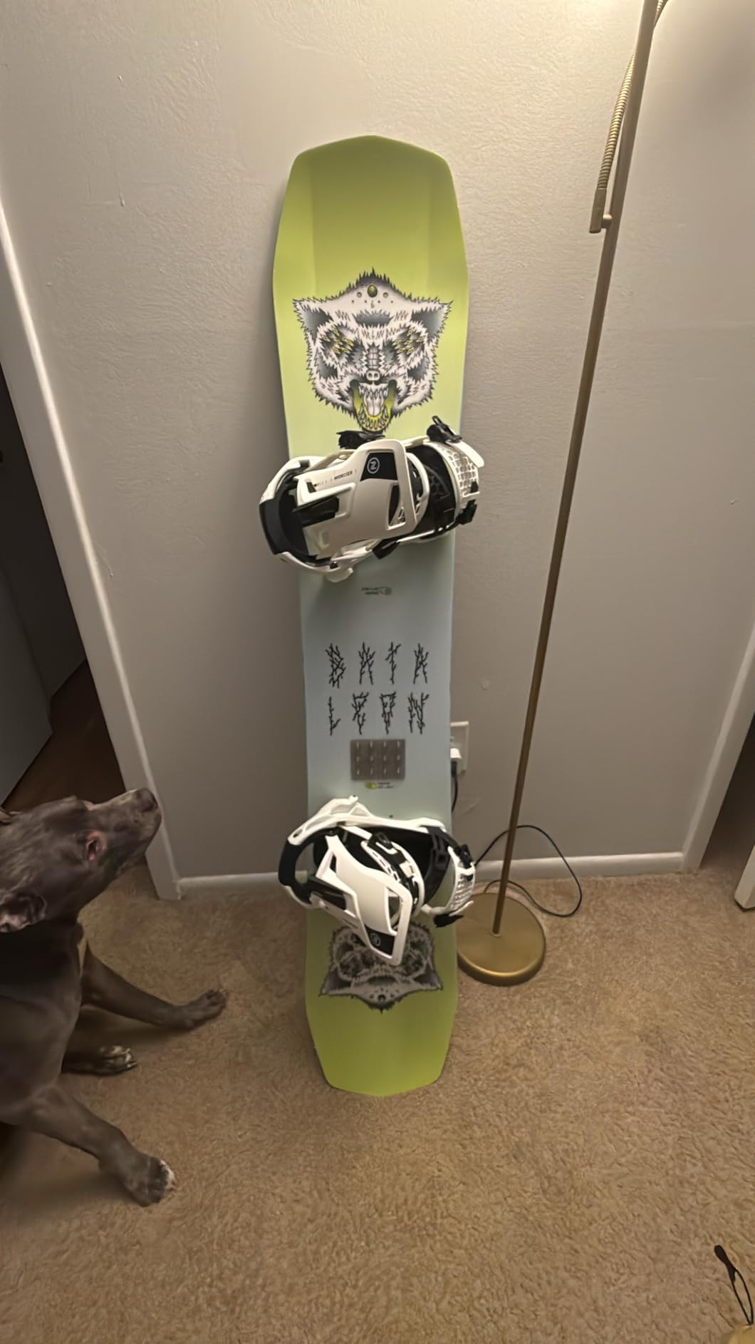 Nidecker Supermatic Carbon Snowboard First Universal, Dual-Entry, Automatic Binding customer photo 1