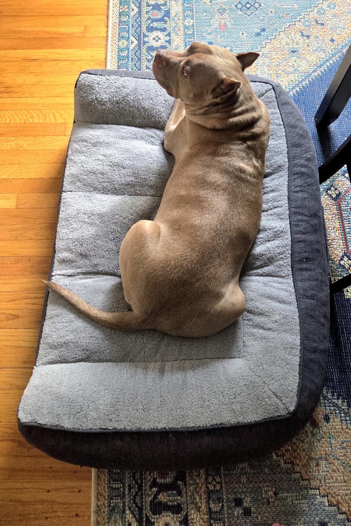 Bedsure SupportMax XL Orthopedic Dog Beds Large Sized Dog - Extra Thick Supportive Dogs Couch with Waterproof Washable Cover, Extra Large Comfort Pet Sofa with Soft Sherpa & Nonskid Bottom, Grey, 42