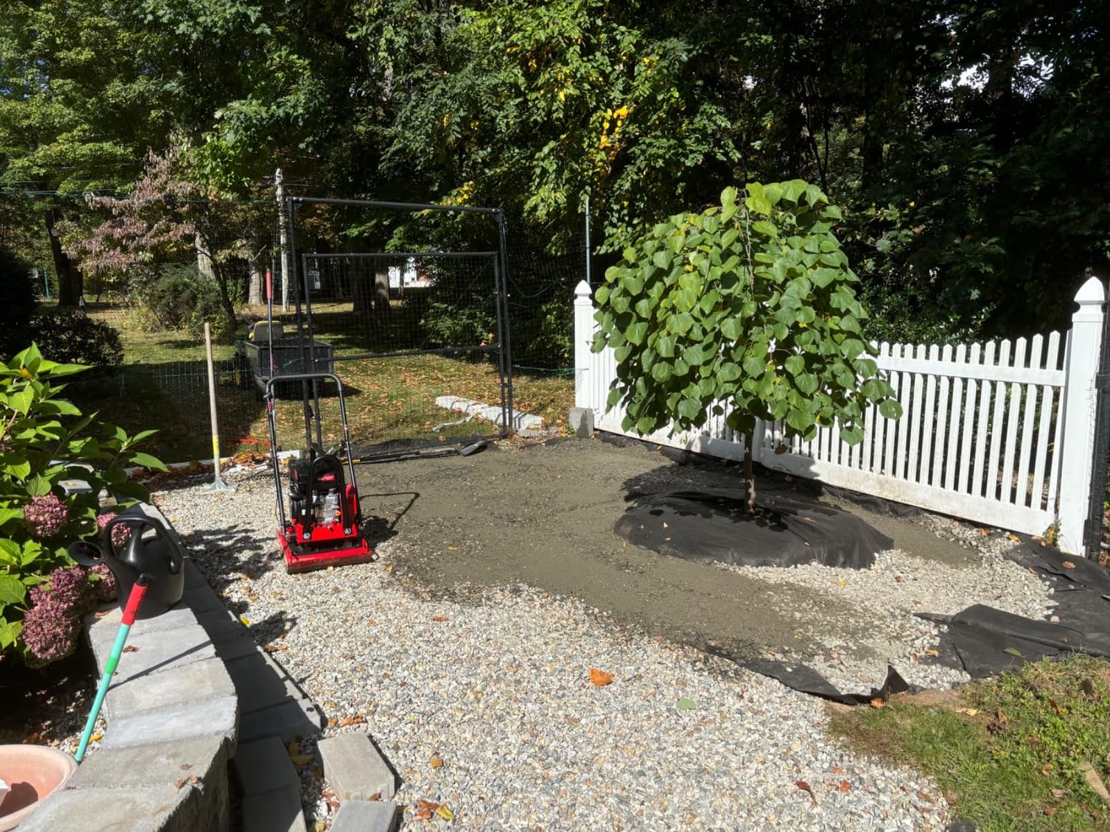 WEN 6.5HP 196cc Plate Compactor with Wheels and 3350-Pound Compaction Force (56096) customer photo 1
