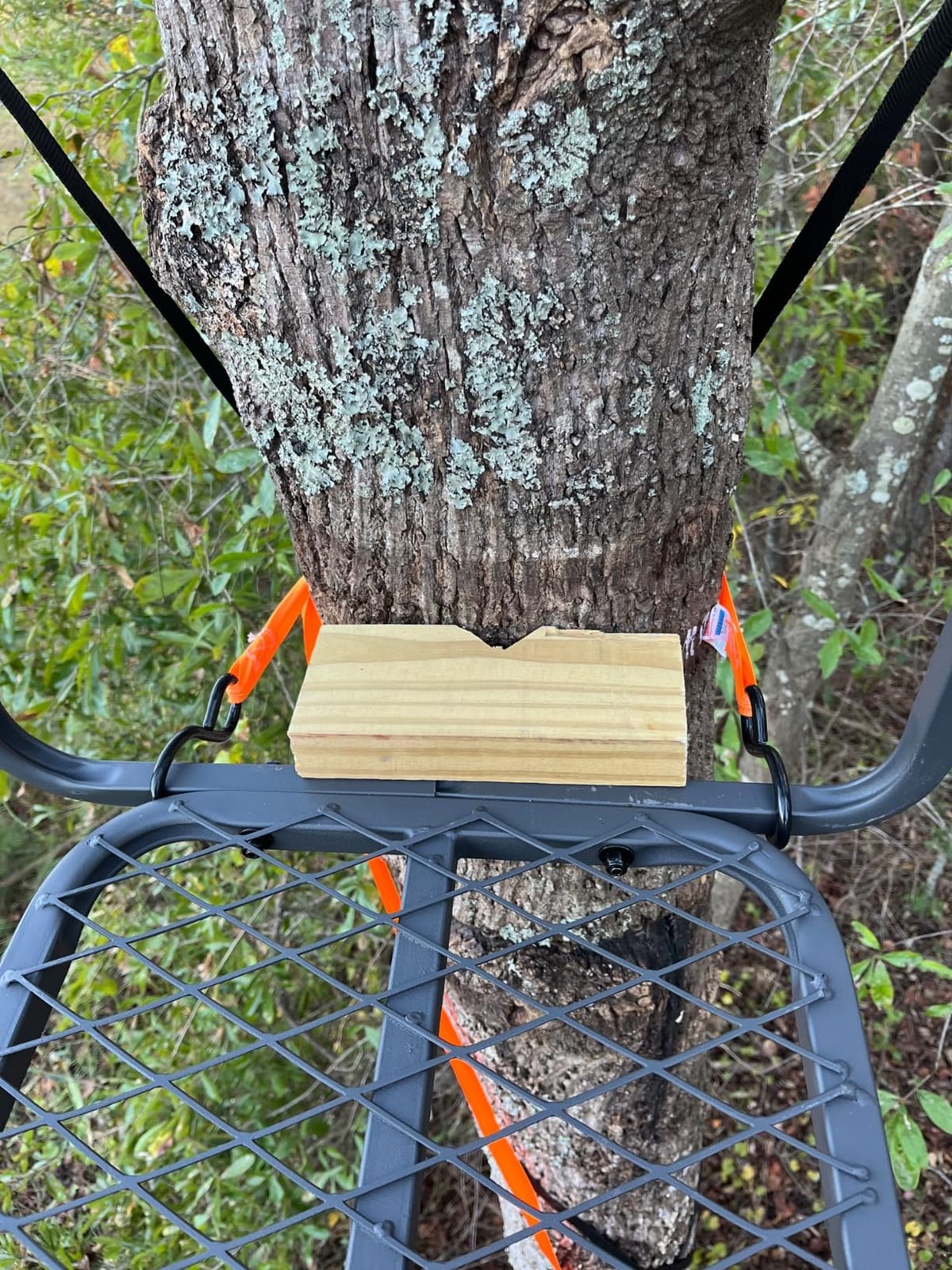 Guide Gear 15.5' Ladder Tree Stand for Hunting with Mesh Seat, Hunting Gear, Equipment, and Accessories customer photo 1