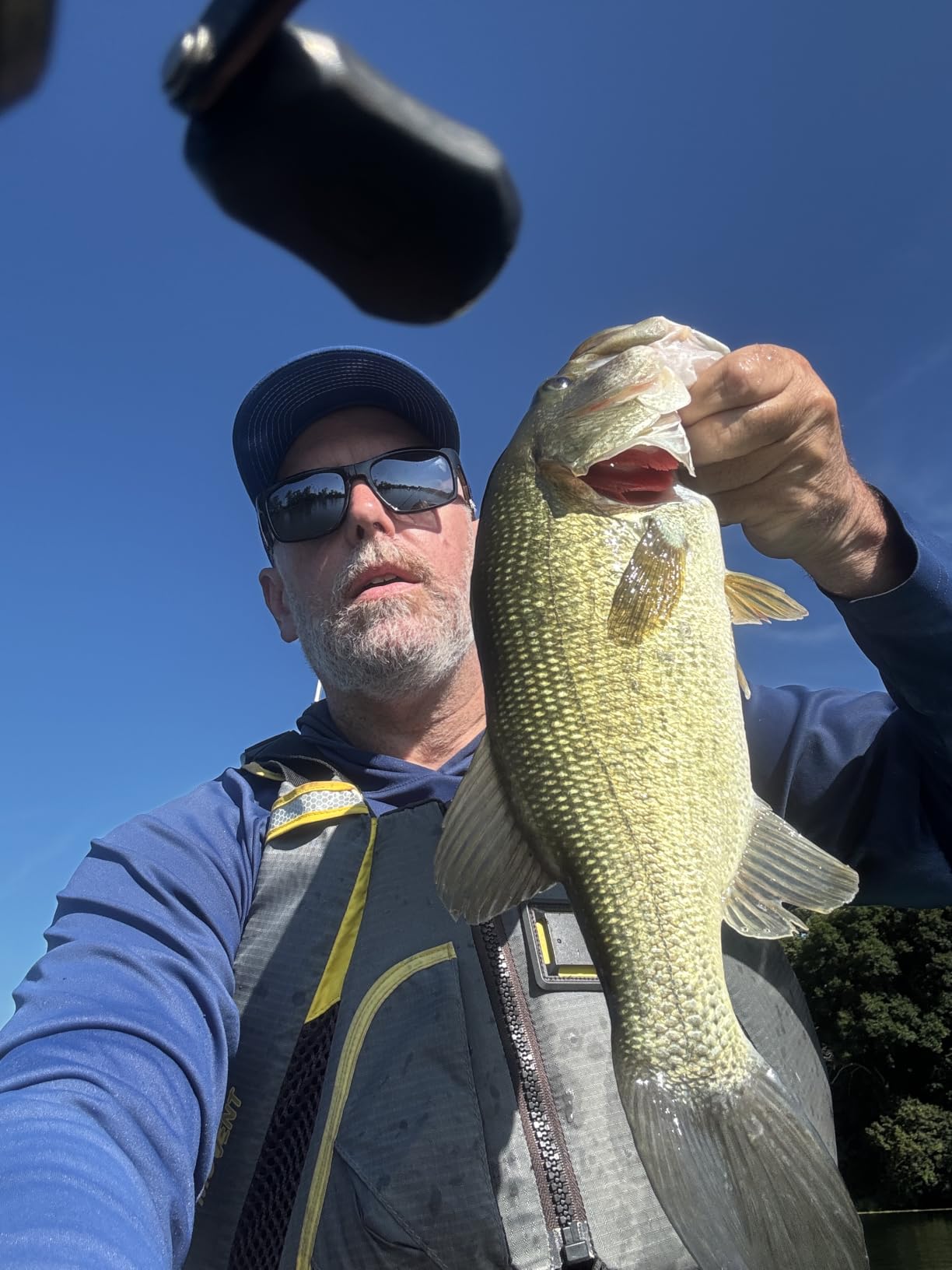 Yum Lures Dinger 5