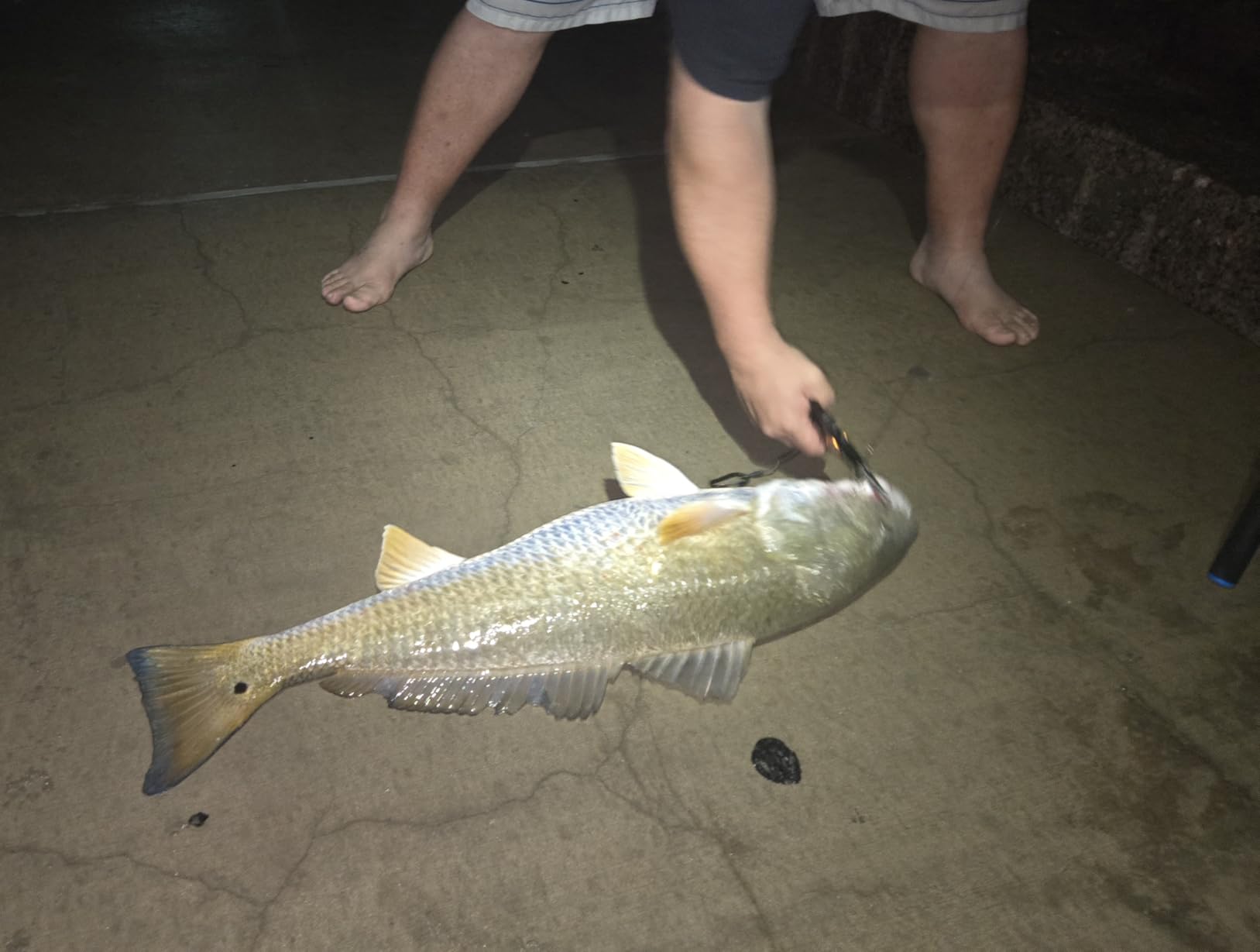 Ugly Stik Carbon Surf Spinning Fishing Rod customer photo 2