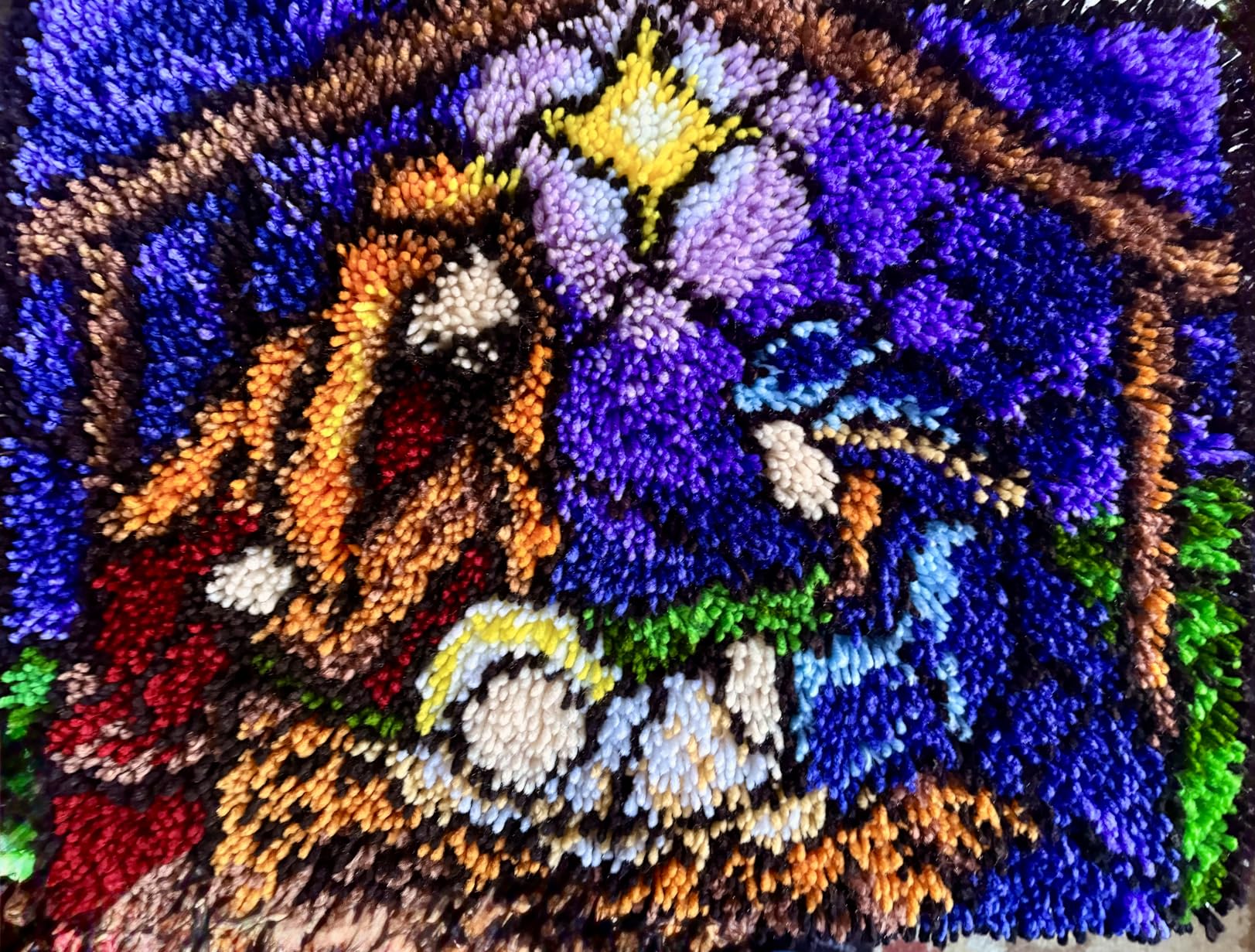 MIAOLLUN Hummingbird Flower Latch Hook Kits for Adults Beginner, DIY Bird Pre-Printed Canvas Rug Cushion Making Craft Embroidery Crochet Yarn Kit 52X38cm customer photo 1