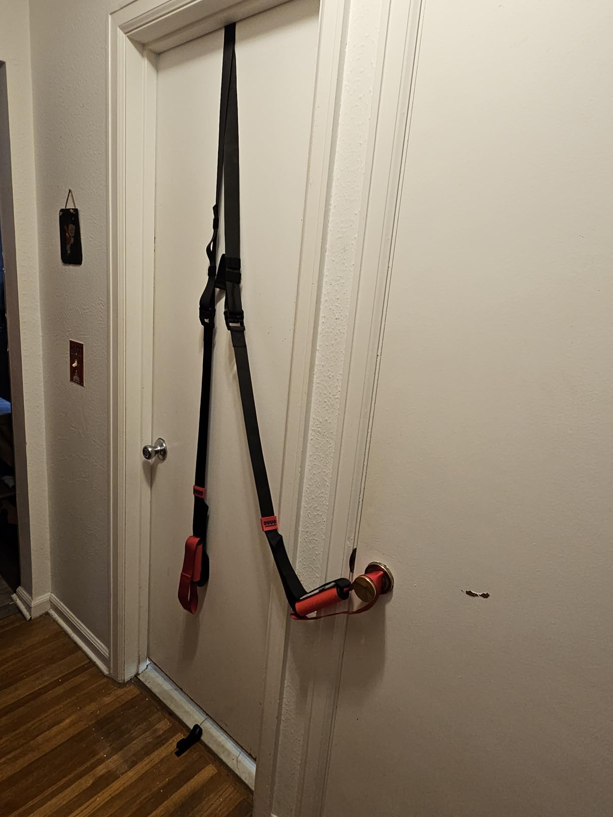 Suspension Straps, Built-in Door Anchor, 1-Second Setup | For home, outdoor, bodyweight workout, portable fitness straps customer photo 1
