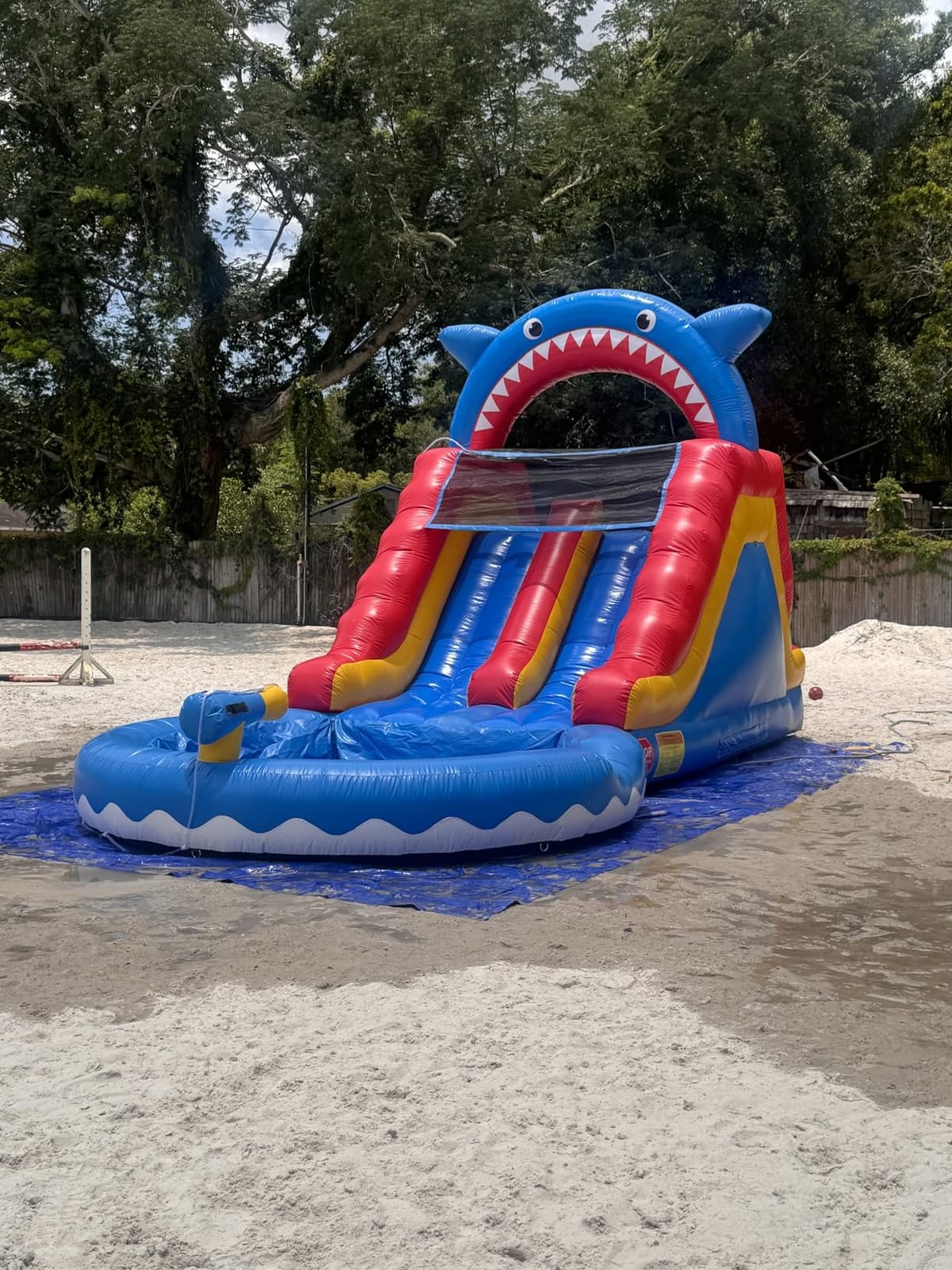 Inflatable Water Slide Commercial Grade: Water Bounce House for Adults and Teenagers - Big Pool, Premium PVC, Wet & Dry, Blower Included - for Backyard Outdoor Birthday Party, Dolphin Style customer photo 1
