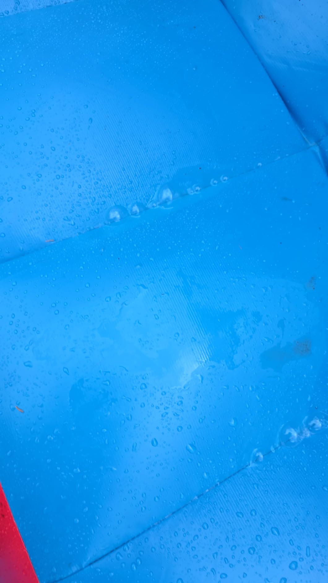 Inflatable Water Slide Commercial Grade: Water Bounce House for Adults and Teenagers - Big Pool, Premium PVC, Wet & Dry, Blower Included - for Backyard Outdoor Birthday Party, Dolphin Style customer photo 2