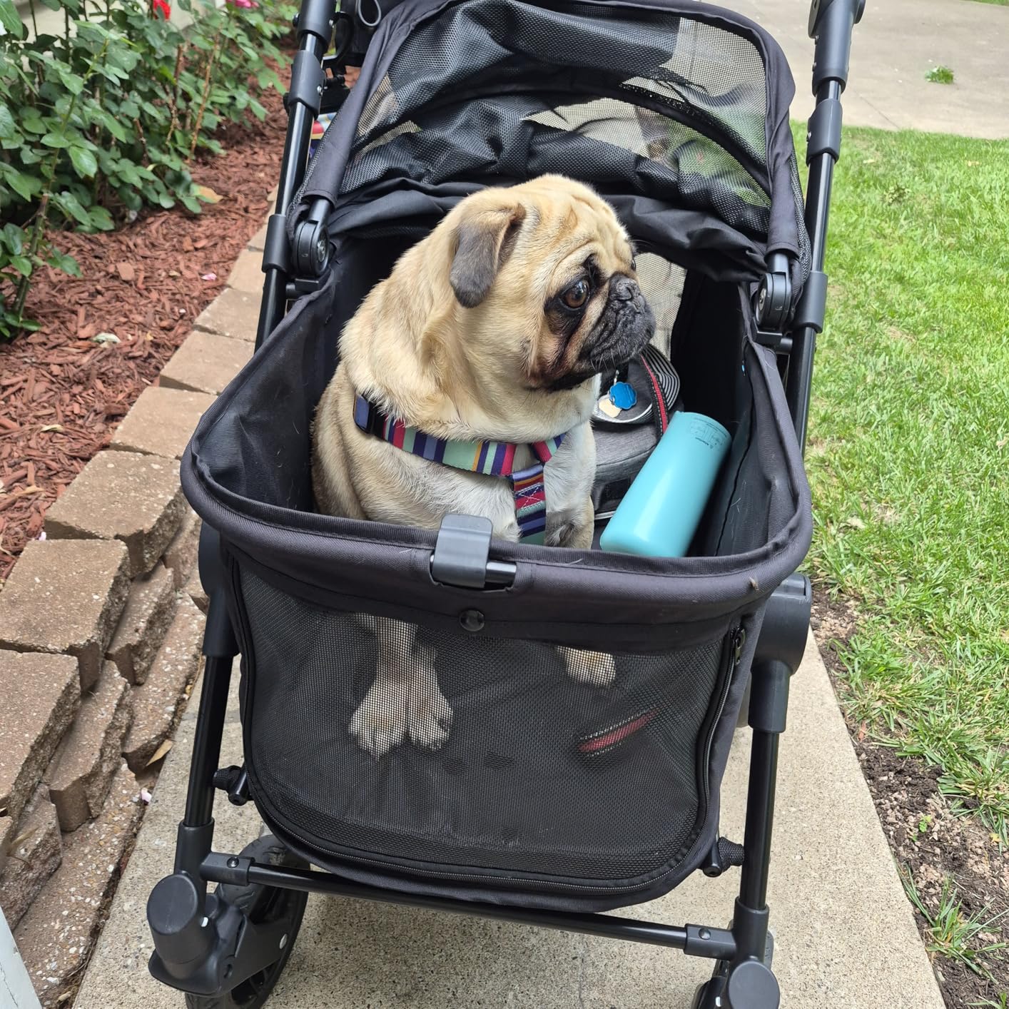 Zoosky Medium Dog Stroller for Large Dogs, pet Stroller for Medium Dogs Up to 66lbs, All-Terrain with Adjustable Handle & Canopy, Sun Shades, Storage Organizer, Waterproof Oxford Fiber customer photo 1