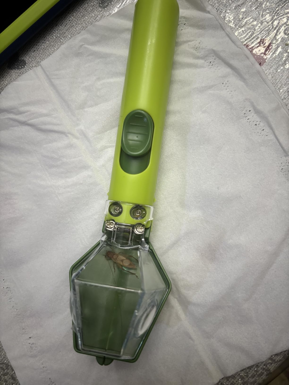 Bug Catcher for Kids with 6X Magnifier, STEM Educational Exploration Toys | Insect Trap Tool for Indoor and Outdoor Bug Discovery, Christmas Birthday Gifts customer photo 2