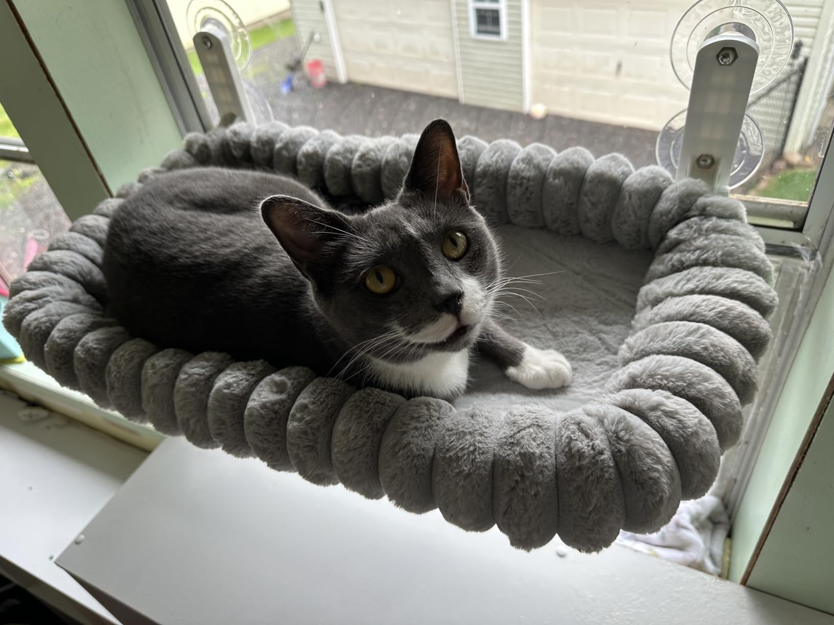 Zakkart SnugCloud Foldable Cat Window Perch - Cordless, Ultra Soft Machine Washable Bed with 4-Sided Bolster, Metal Frame - Window Hammock for Large Cats and Kittens (Cream White, Medium) customer photo 1
