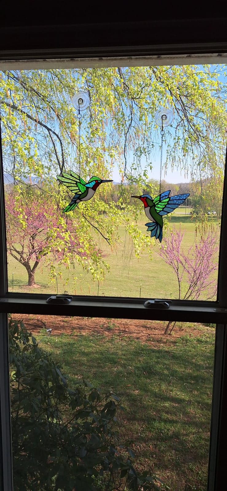 2 Pcs Hummingbird Stained Glass Window Hanging Suncatchers, Gifts for Women | Handmade Copper Foil Art, Birthday Anniversary Gift For Mom Grandma Wife Mother In Law, Bird Lovers Sun Catcher Decor, 6 Inch customer photo 2
