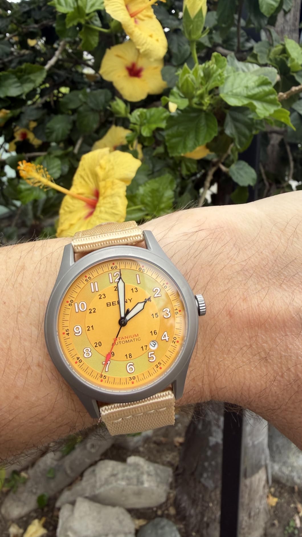 Titanium Automatic Watch, 10ATM Waterproof Men's Military Field Watch customer photo 1