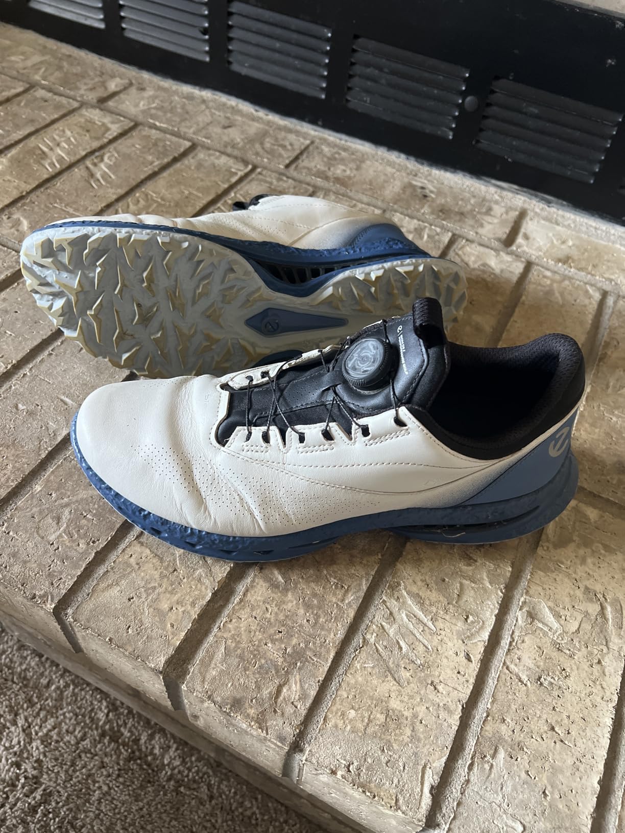 ECCO Mens Biom C5 Boa Gore-tex Waterproof customer photo 1
