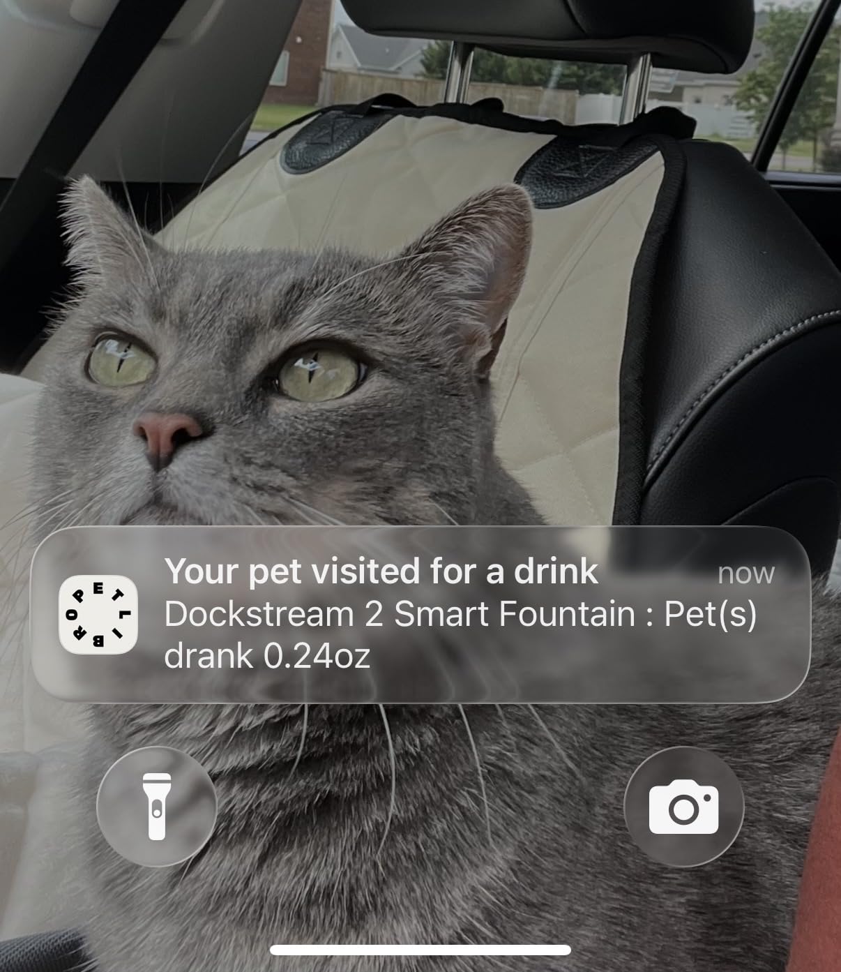 PETLIBRO Upgrade Cat Water Fountain Stainless Steel Tray, Dockstream 2 Cat Fountain Indoor, 3L/101oz Auto Cat Fountains for Drinking, App Monitoring Pet Water Fountain Dog, 5G WiFi Cat Water Dispenser customer photo 1