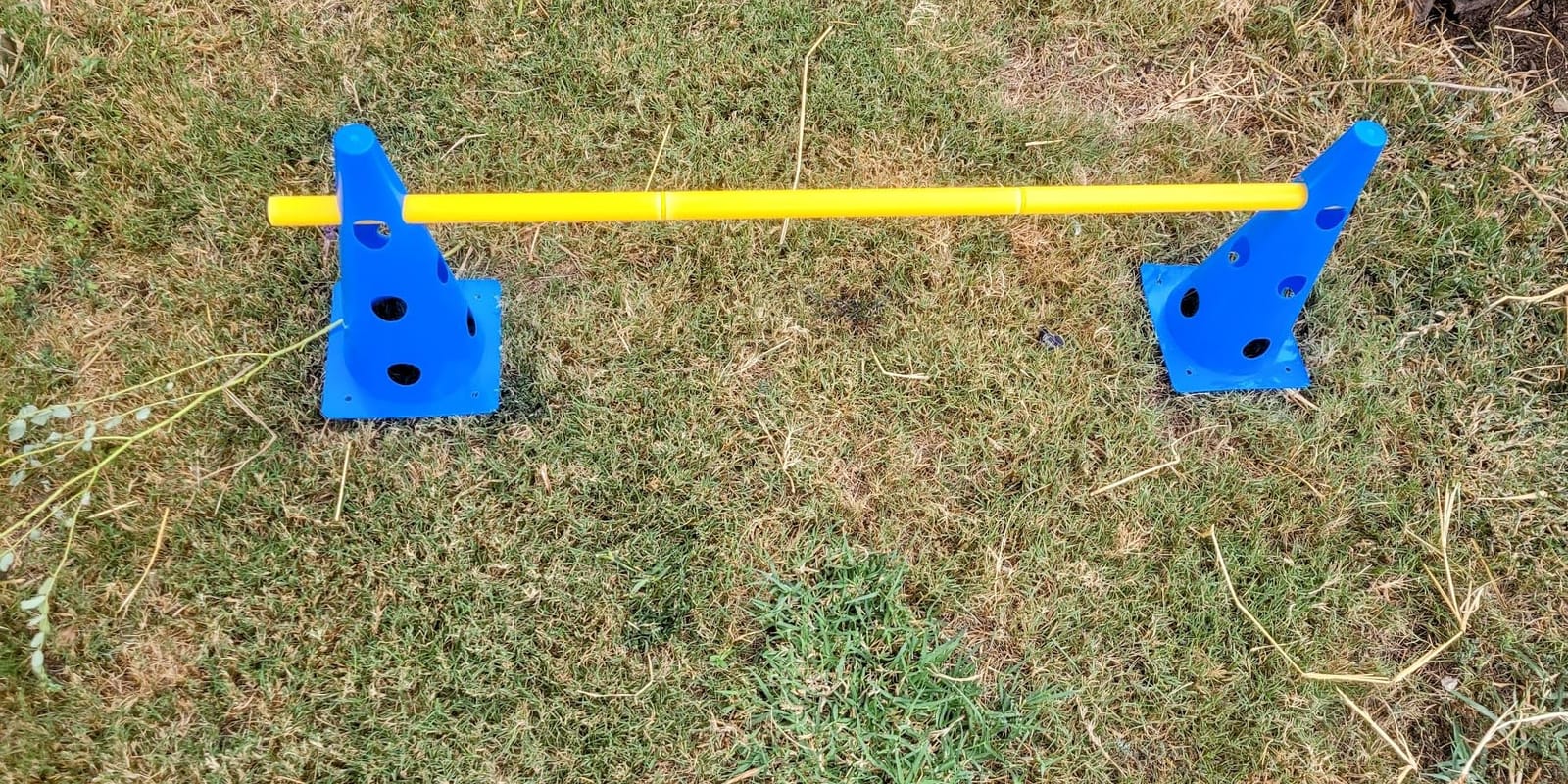 Dog Agility Course Backyard Set, Dog Agility Hurdle Cone Set with Height Adjustable Crossbar for Rehabilitation & Beginners, Dog Agility Equipment for Dog Obstacle Course - 12 Inch customer photo 1