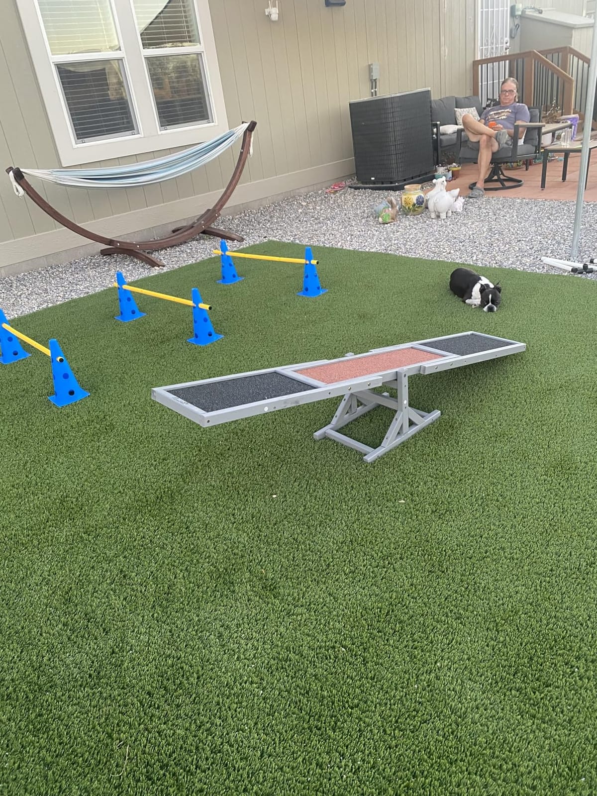 Dog Agility Course Backyard Set, Dog Agility Hurdle Cone Set with Height Adjustable Crossbar for Rehabilitation & Beginners, Dog Agility Equipment for Dog Obstacle Course - 12 Inch customer photo 2