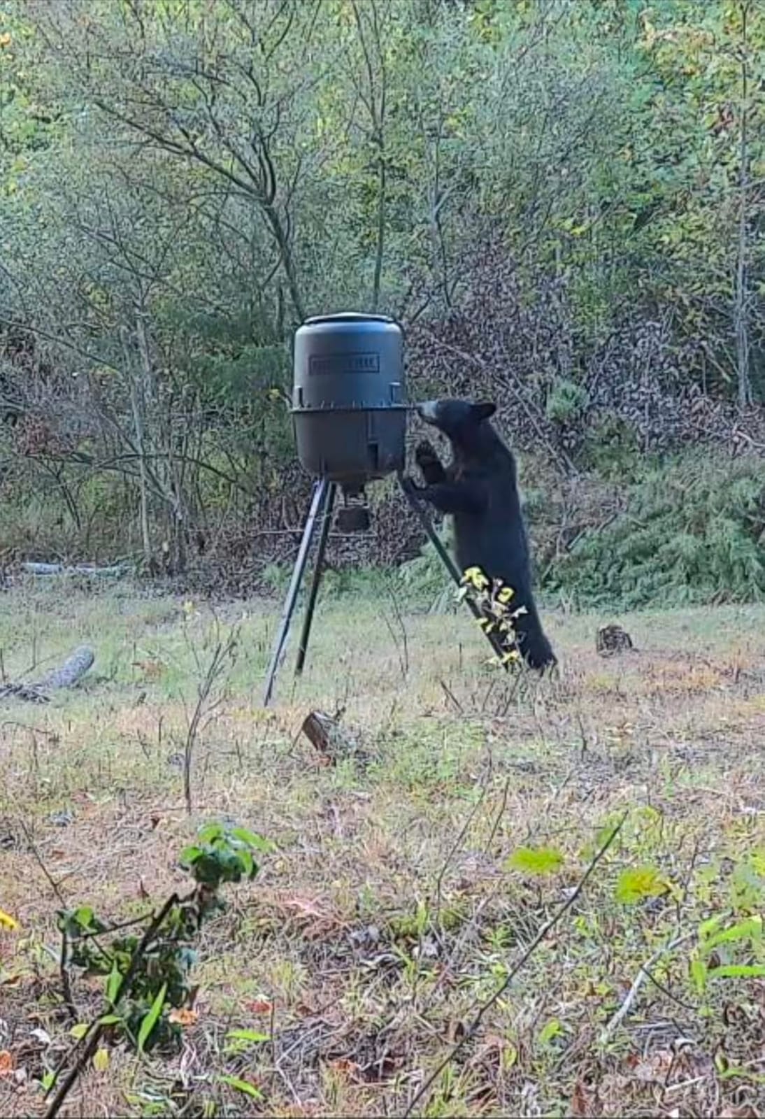 Moultrie 250 Lb Pro Hunter III Tripod Feeder - Bluetooth App Control, 10 daily feed times, large 250 lb capacity, solar ready customer photo 2