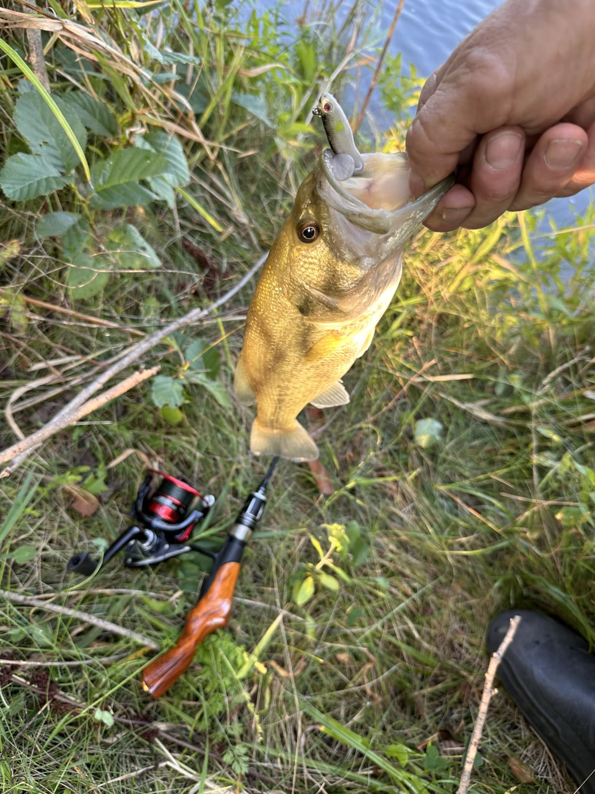 Tuxedo Sailor Ice Fishing Rod and Reel Combos - Reinforced Fiberglass Pole customer photo 2