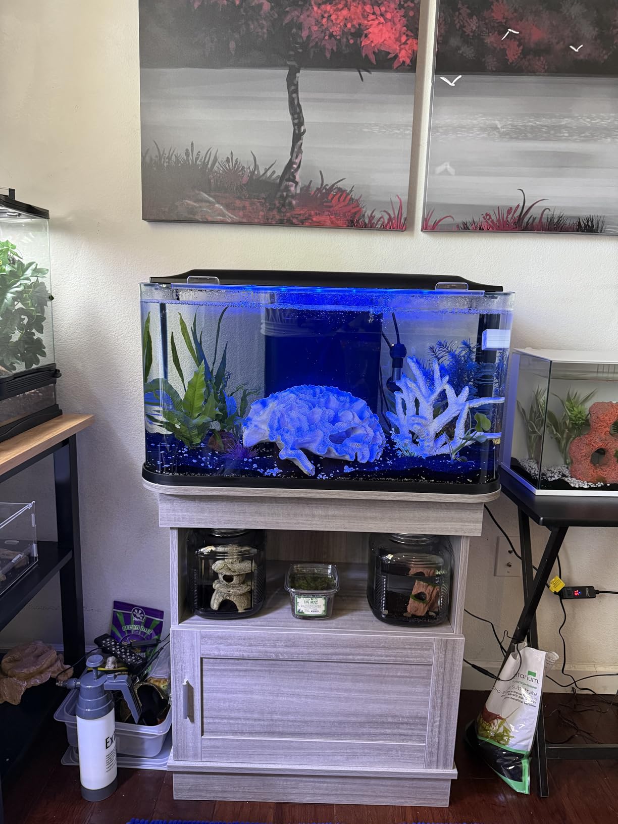GloFish Glass Aquarium Kit, 20 Gallons, Includes Premium Blue, LED Light Stick & Integrated Filtration, Perfect for Beginners or Seasoned Hobbyists, Seamless, Curved Design customer photo 1