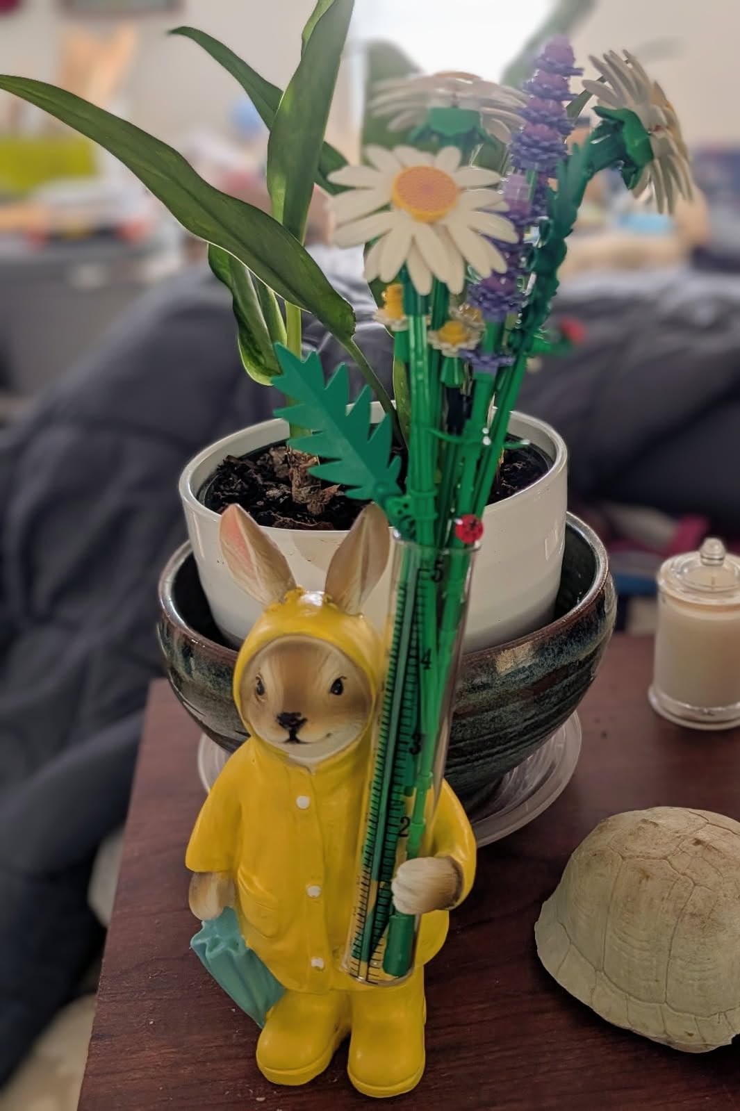 LEGO Botanicals Daisies Building Toy - Artificial Flowers Crafting Kit for Girls & Boys, Ages 9+ - Kids Room Decor for Book Shelf or Desk - Gift Idea for Birthdays - 11508 customer photo 2