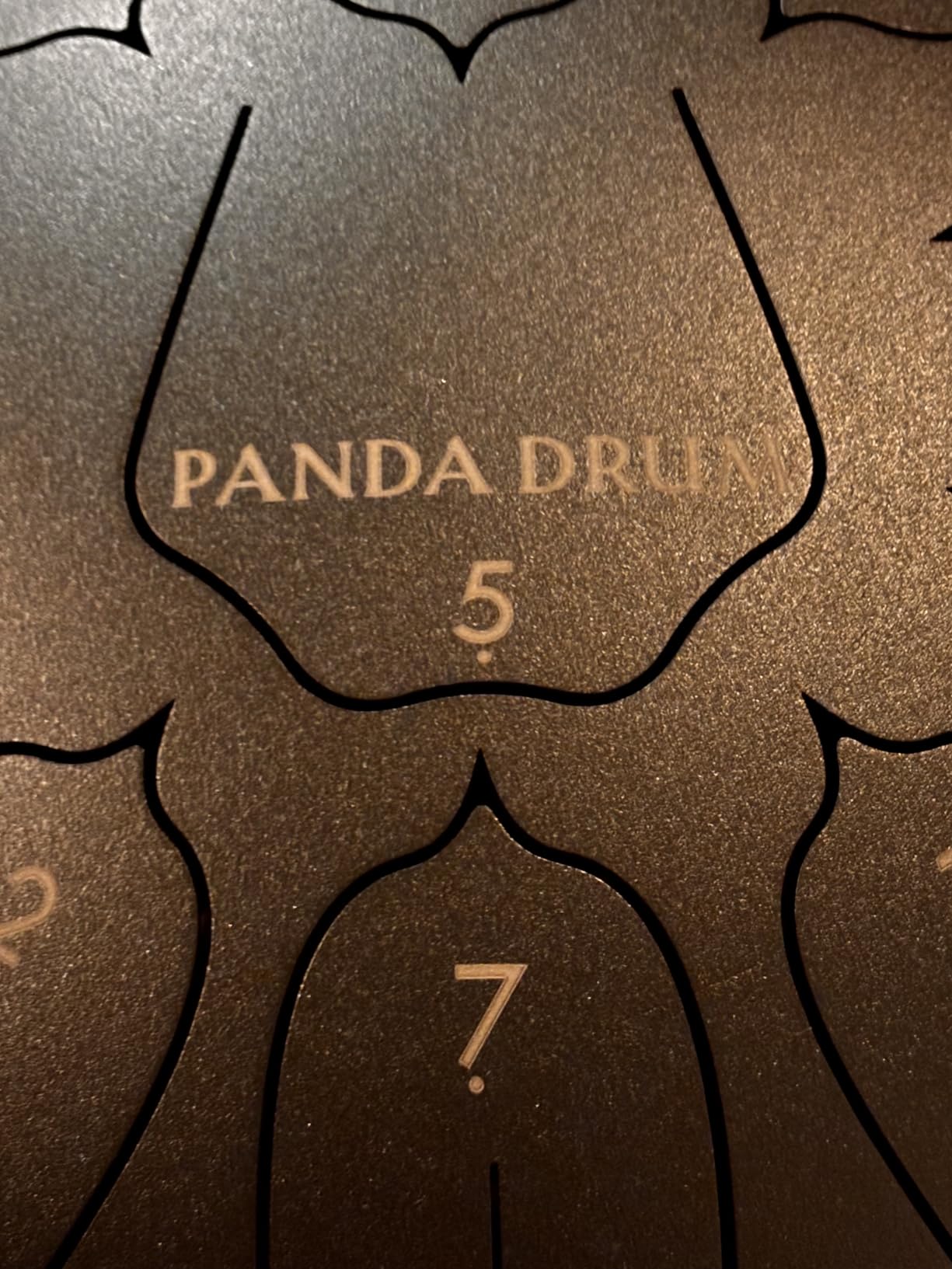 Panda Drum Plus (White) | Steel Tongue Drum for Inside & Outside | 11 Inch | with Music Book, Mallets, Carrying Bag & Finger Picks | 432 Hz Rain Drum | Calming Musical Instrument for Adults customer photo 1