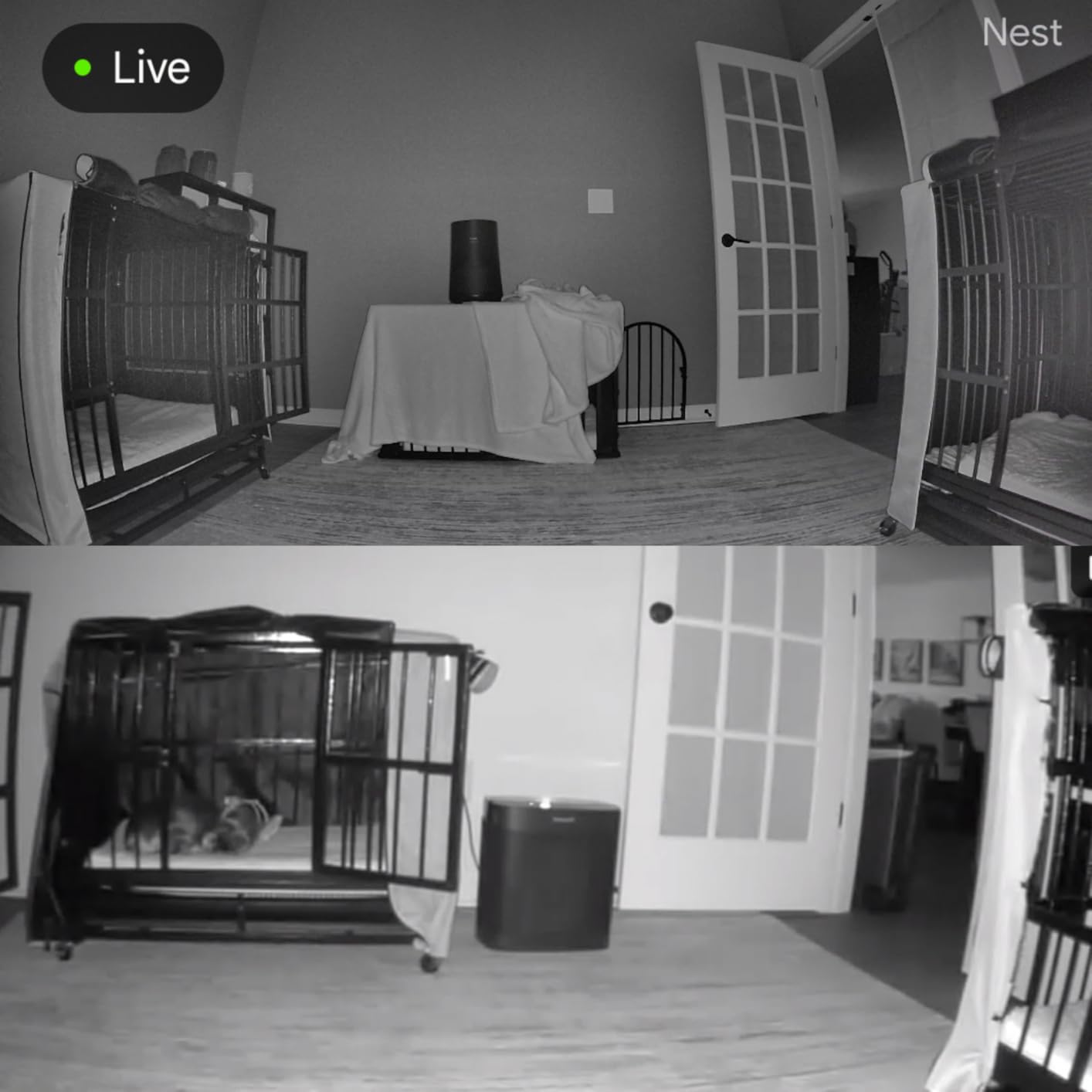Google Nest Cam Indoor (Wired, 3rd Gen) - Security Camera - 2025 - Snow customer photo 2
