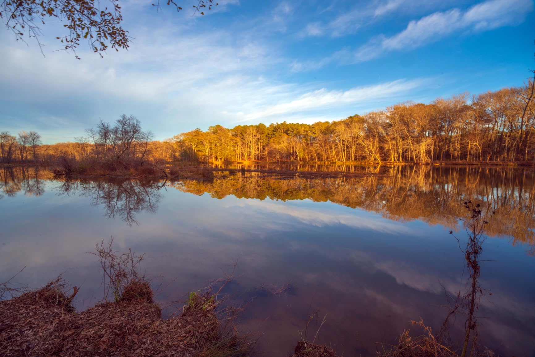 VILTROX 9mm F2.8 E-Mount APS-C Lens for Sony, Auto Focus Ultra-Wide Prime Lens customer photo 2