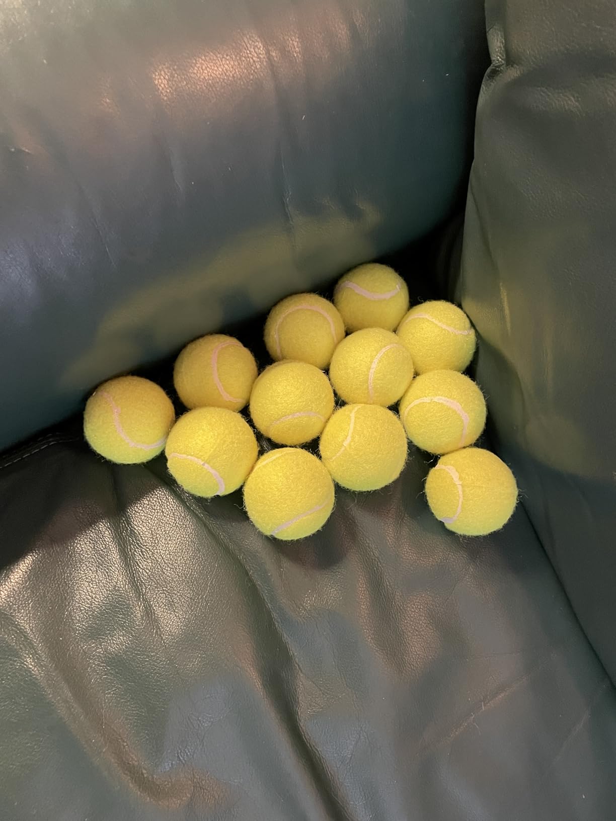 Automatic Dog Ball Launcher, with 6 2.3