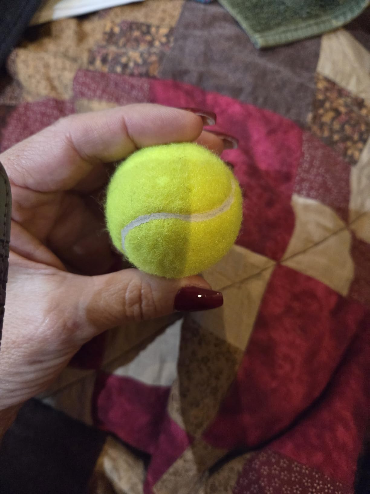 Automatic Dog Ball Launcher, with 6 2.3