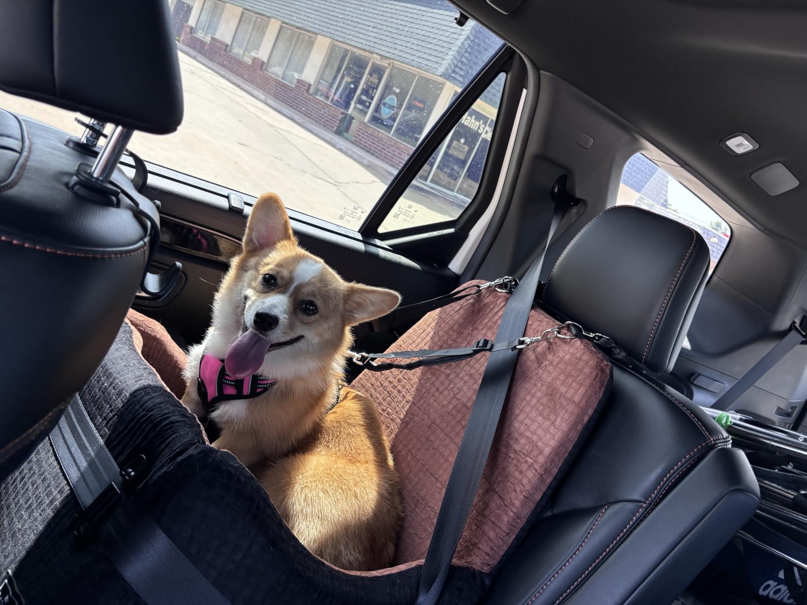 PETSFIT Dog Booster Car Seat for Small/Medium Dogs Up to 35 lbs - Patented Safety System, 5