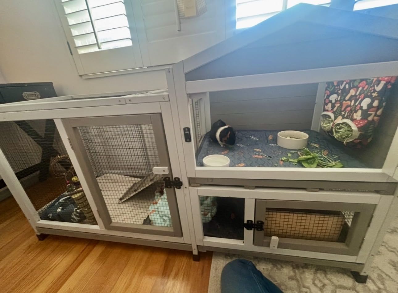 2 Story Rabbit Hutch Outdoor Indoor, Wooden Bunny Cage with 6 Lockable Wheels, 3 Removable No Leakage Pull Out Trays, Chew-Proof Ramp & Waterproof Roof, Ideal for Rabbit & Guinea Pig customer photo 1