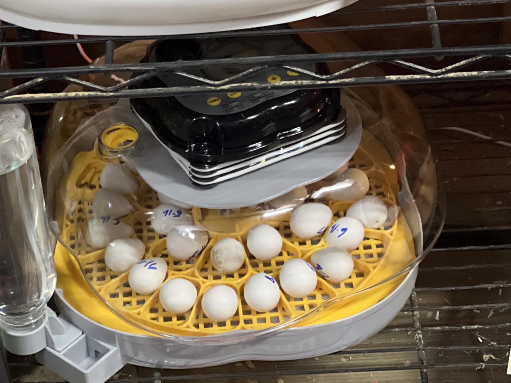 25 Egg Incubators for Hatching Eggs, Auto Turning, Temp & Humidity Control | Auto Water Refill, Auto Egg Turning, Turning Timer, Incubation Timer, Built-in Egg Candler & Protective Wall Design customer photo 1