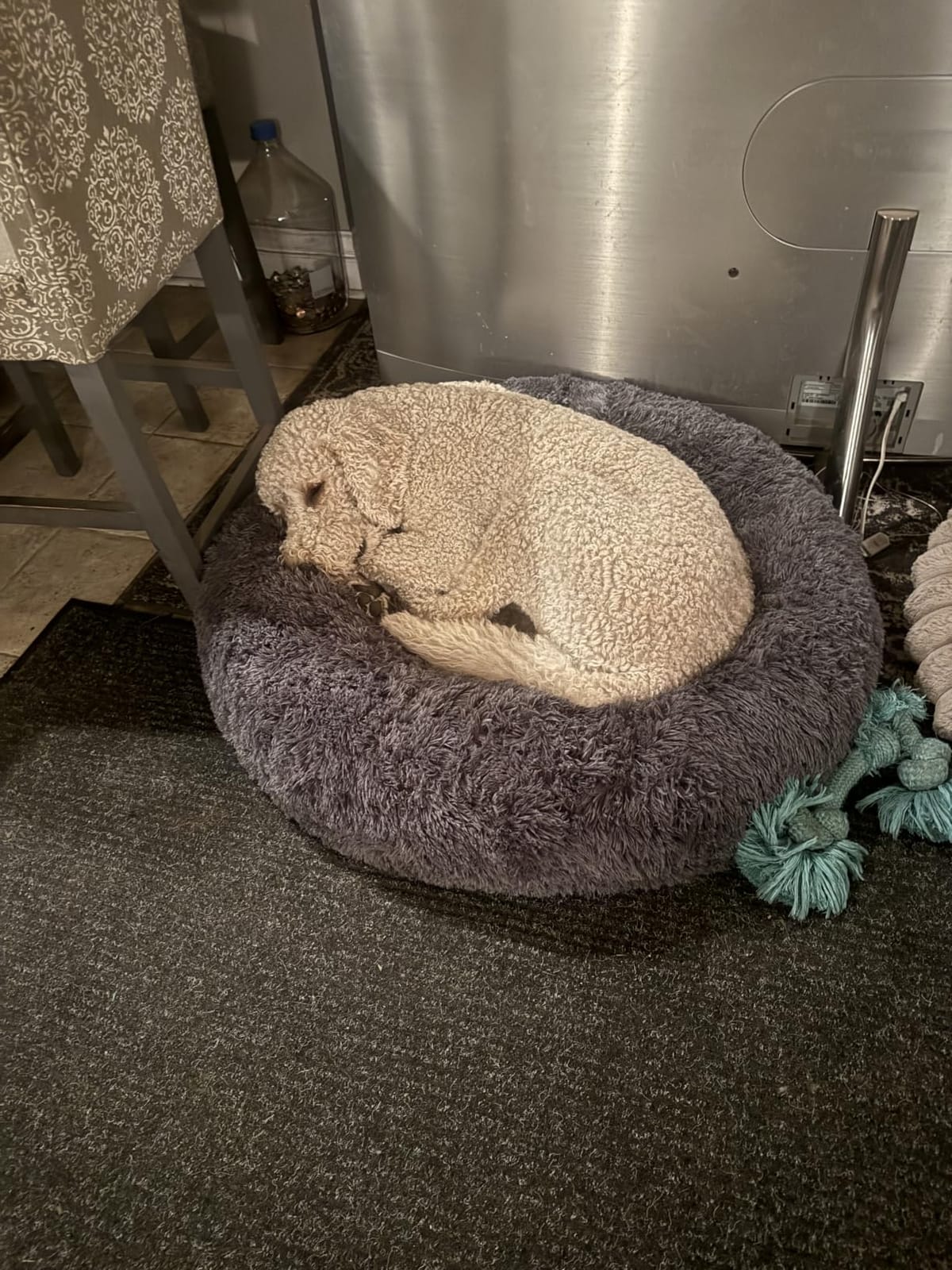 Bedsure SupportMax Calming Dog Beds Large Sized Dog Washable Pet Bed, 36in - 420GSM Plush Fluffy Donut Round, Thick Supportive, Removable Cover, Anti-Slip, Anti-Anxiety, for Big Dogs Up to 80 Lbs, Dark Grey customer photo 1